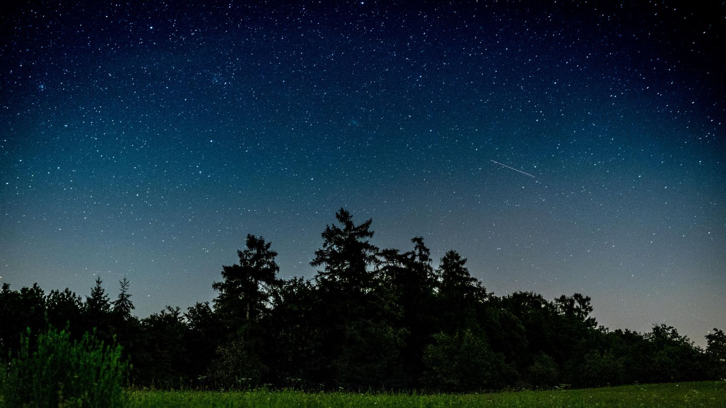 Night field. Ночное небо. Небо ночью. Звездное небо. Звездное небо в поле.