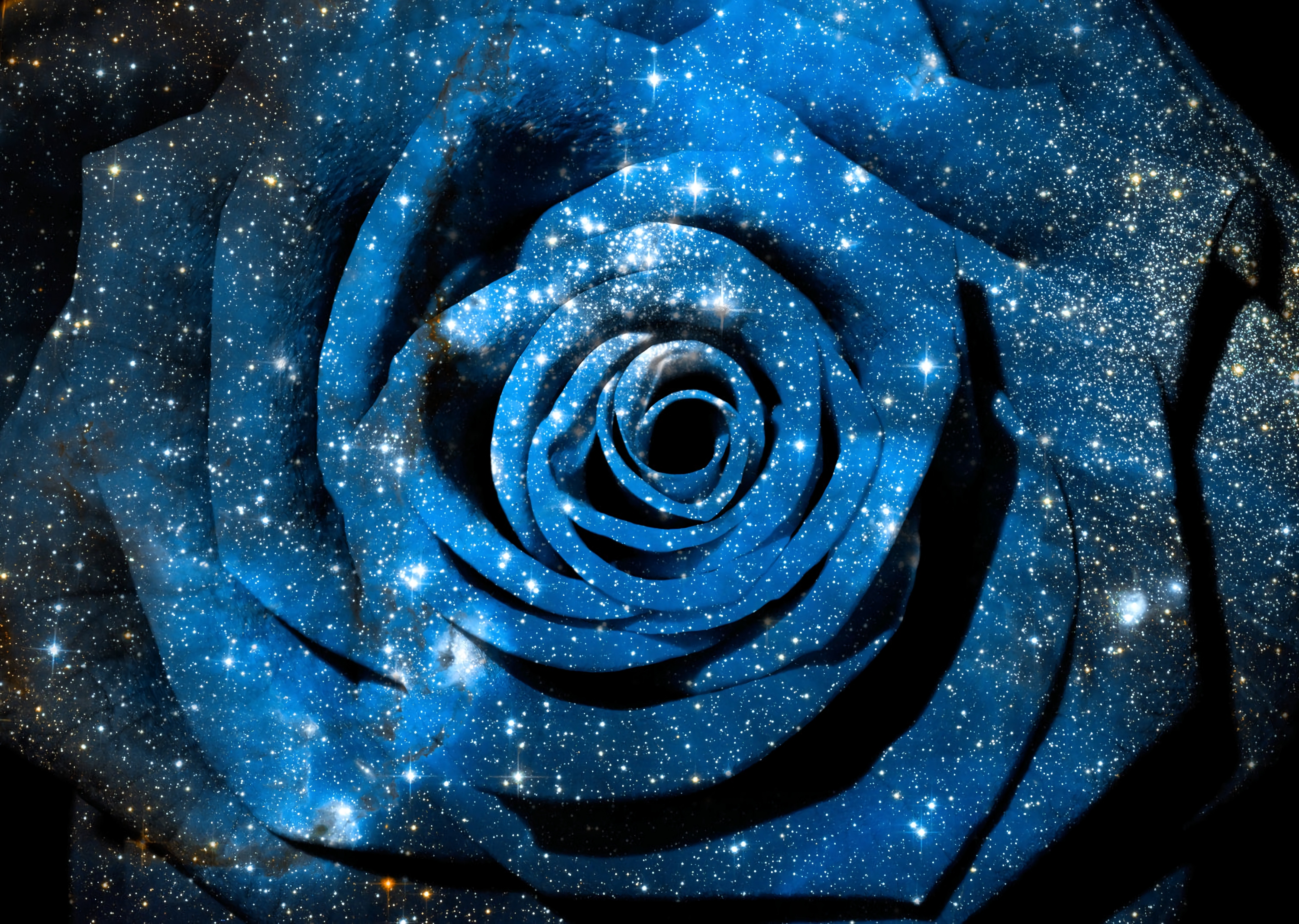 Голубая роза Галактика