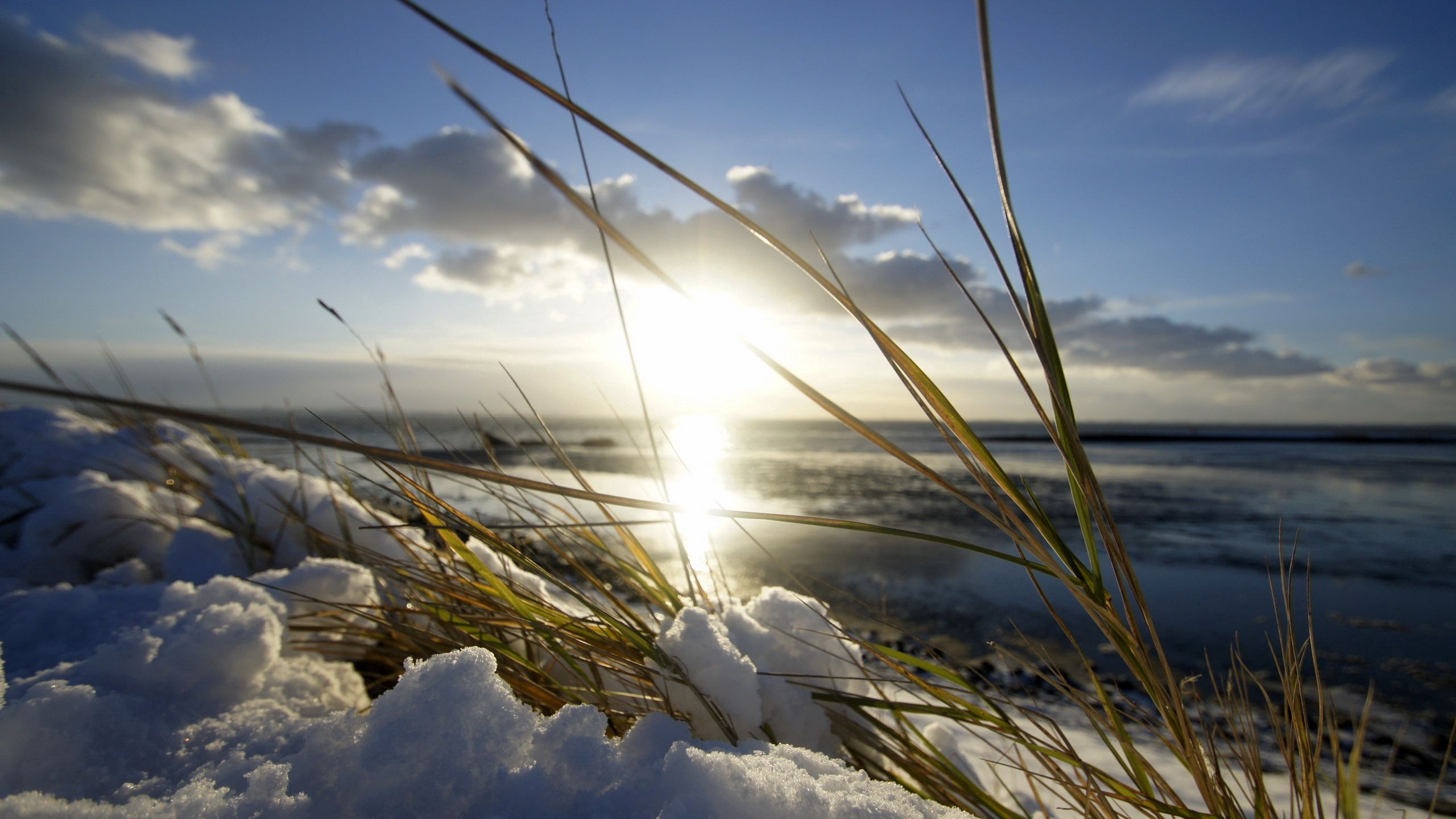 Laden Sie das Natur, Sun, Scheinen, Licht, Grashalm, Klinge, Schnee, Frühling-Bild kostenlos auf Ihren PC-Desktop herunter