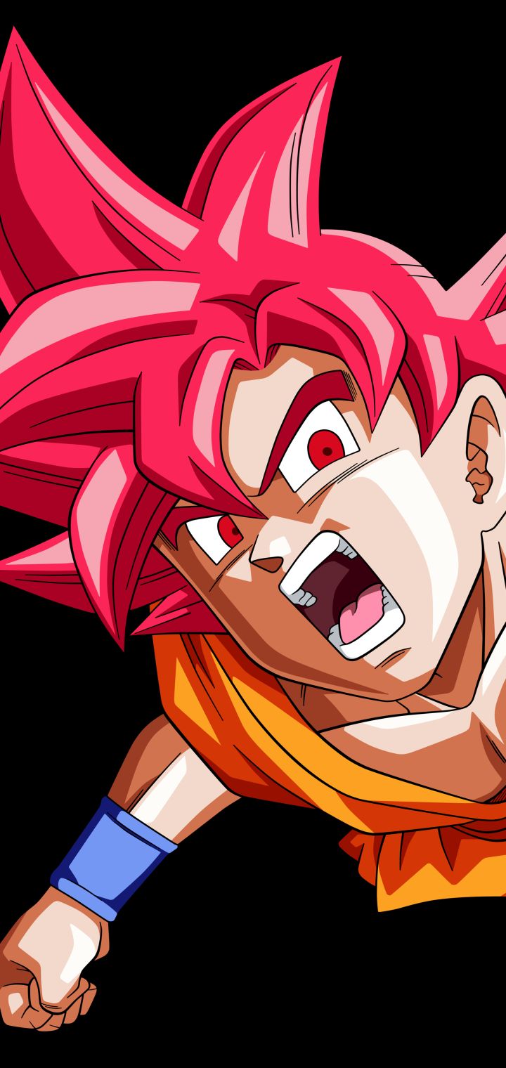Son Goku Super Saiyan God Super Saiyan PNG Image With Transparent  Background  TOPpng