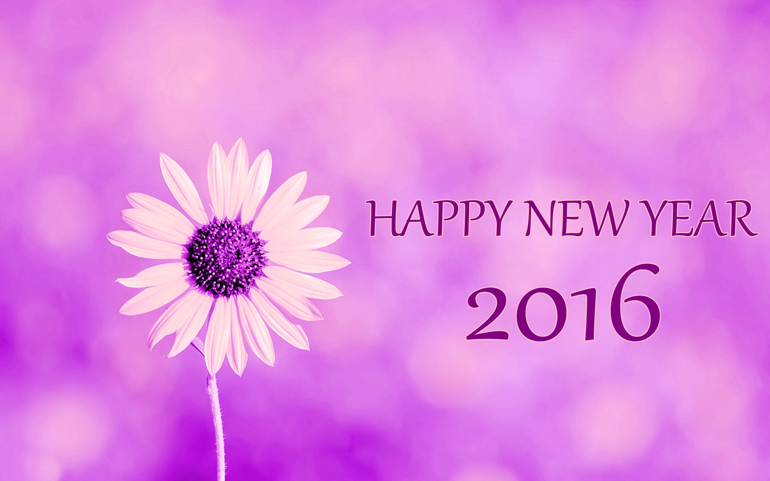Free download wallpaper New Year, Holiday, New Year 2016 on your PC desktop