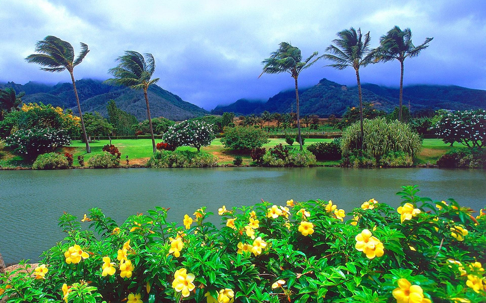 гавайские острова красивые