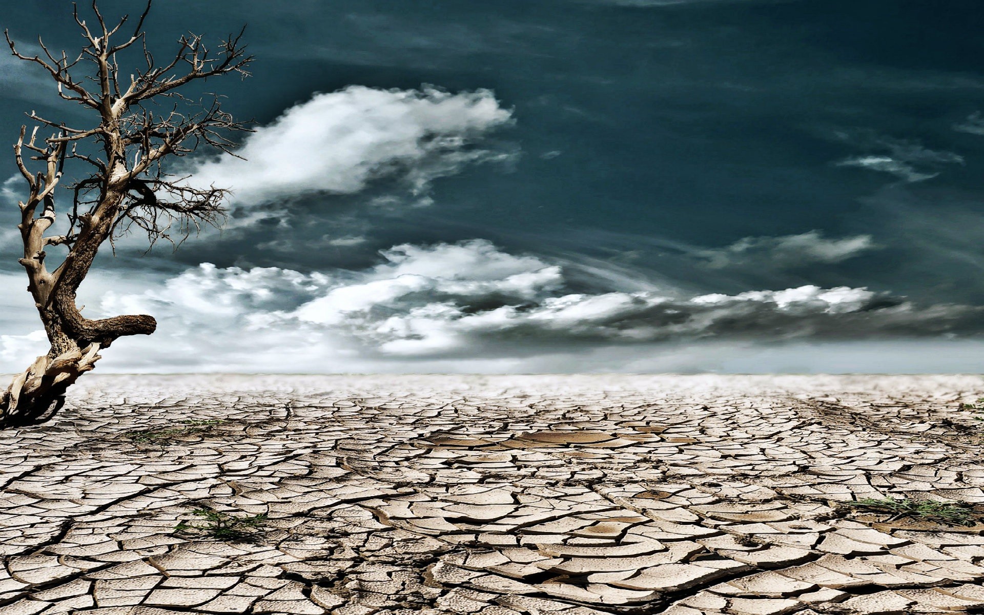 Drought Cool HD