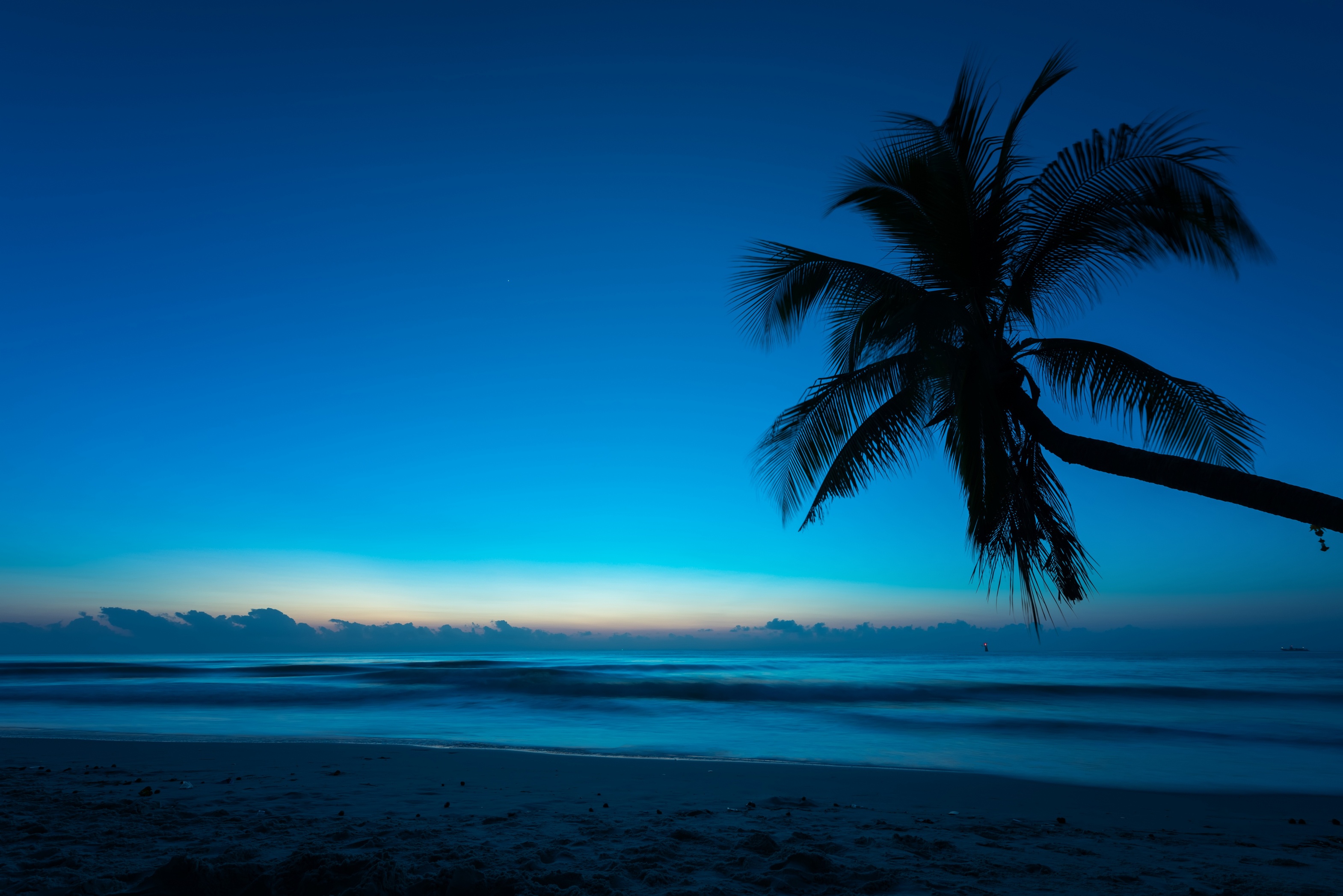 Ночное море с пальмами