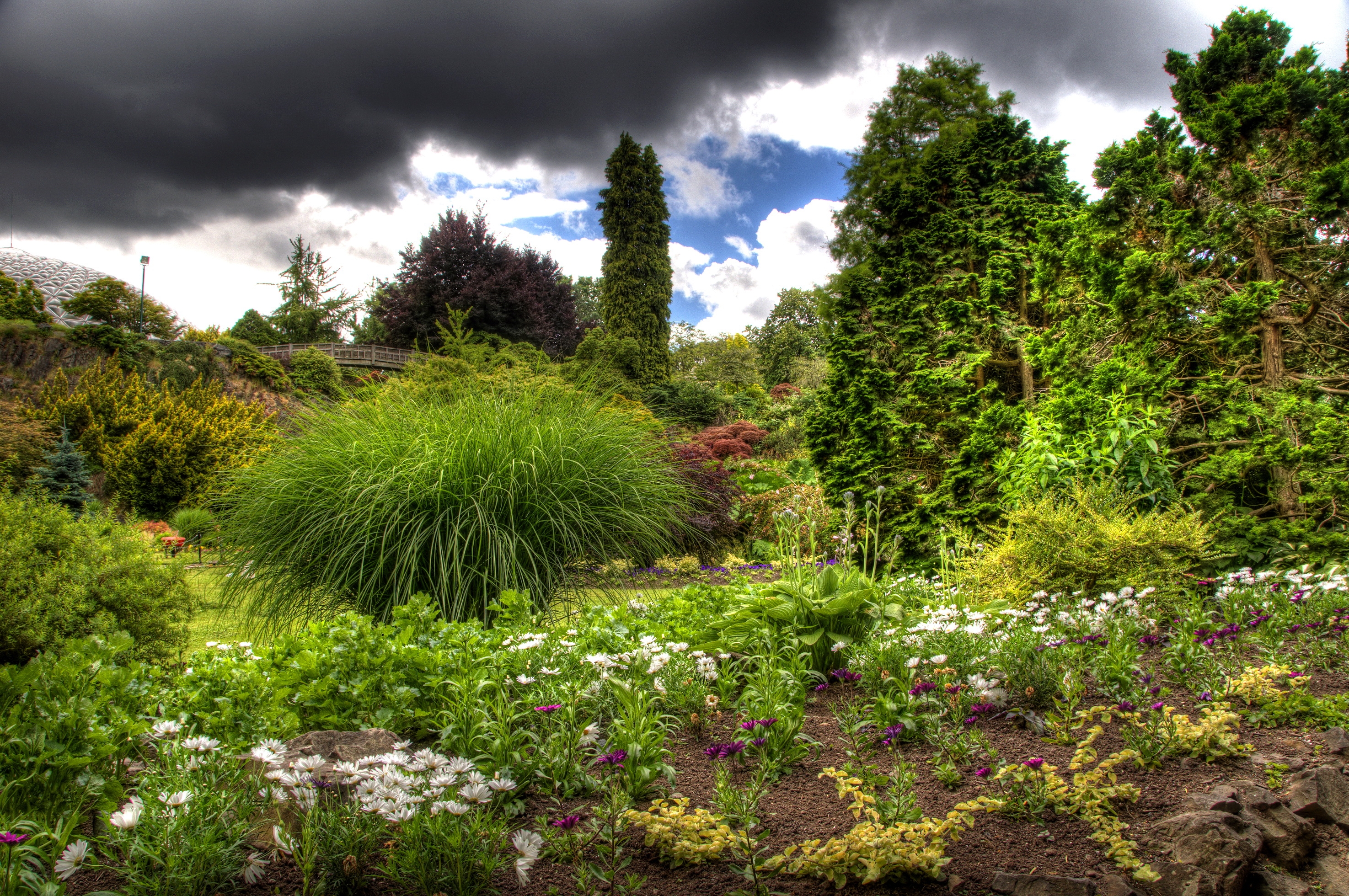 brightly, nature, sky, clouds, green, vegetation, garden, mainly cloudy, overcast
