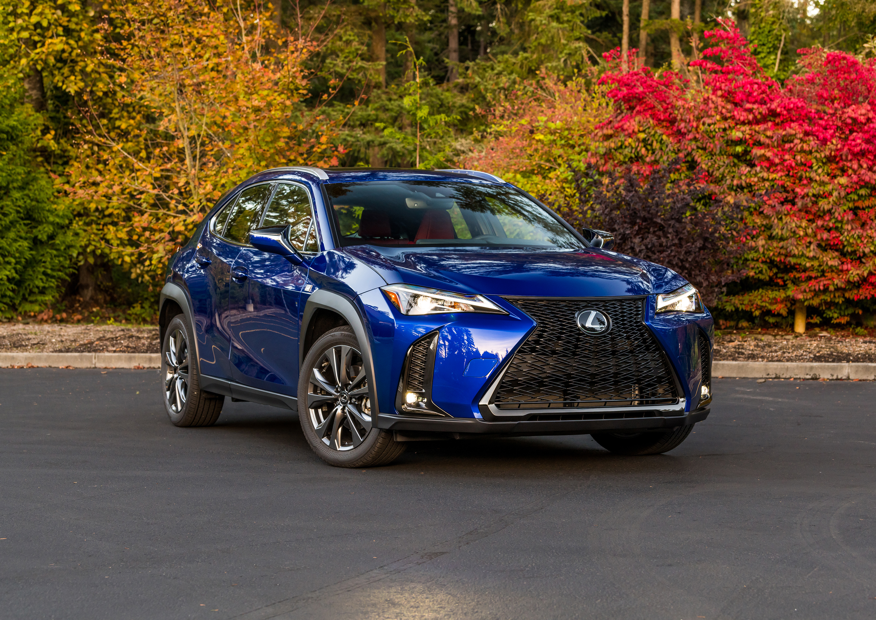 Lexus usa. Lexus ux200 f Sport. Lexus UX 250h 2021. Lexus UX 200 2020. Лексус ux200 синий.