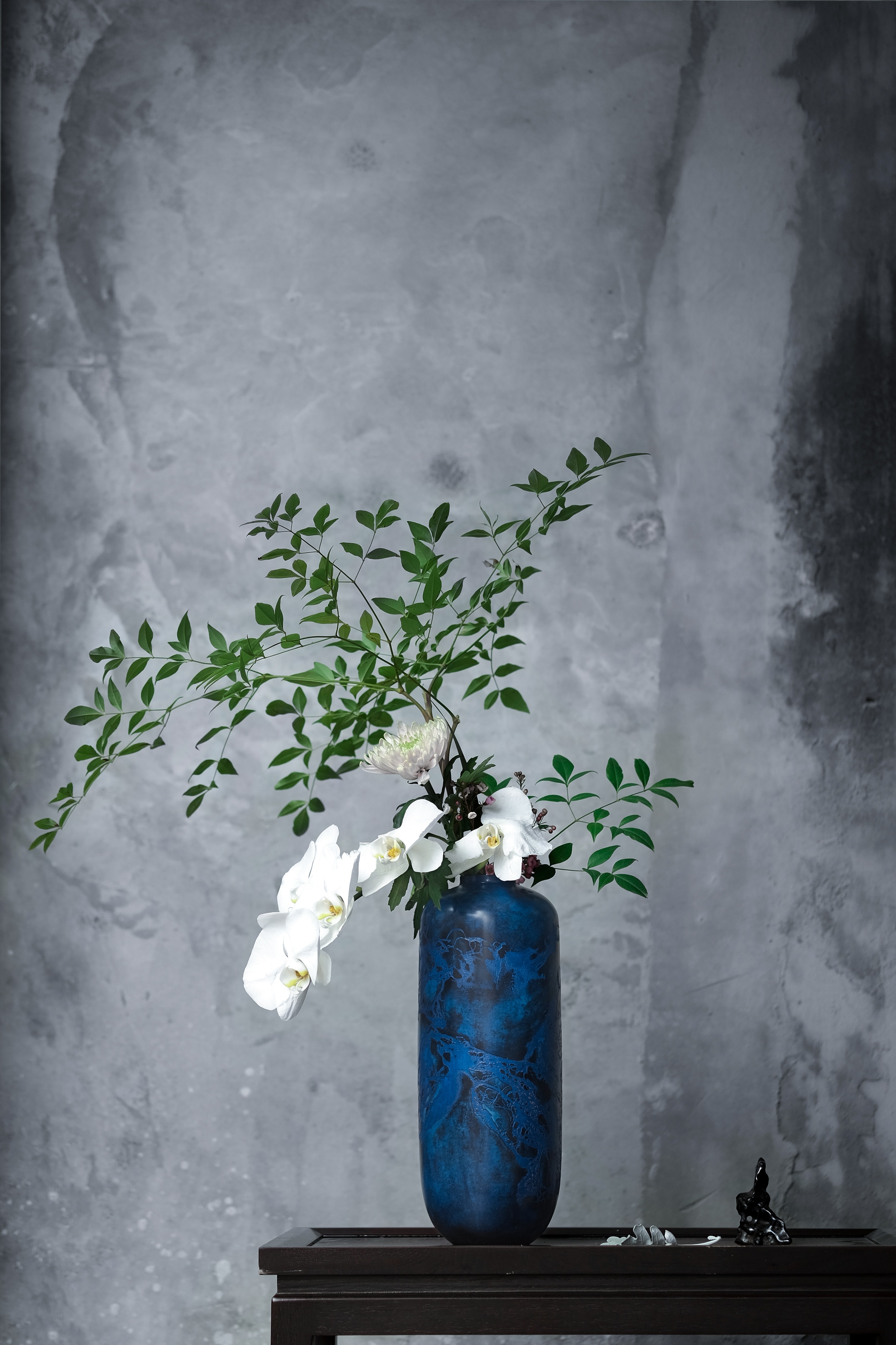 Handy-Wallpaper Orchid, Vase, Zimmer, Orchidee, Blumen, Bouquet, Strauß kostenlos herunterladen.