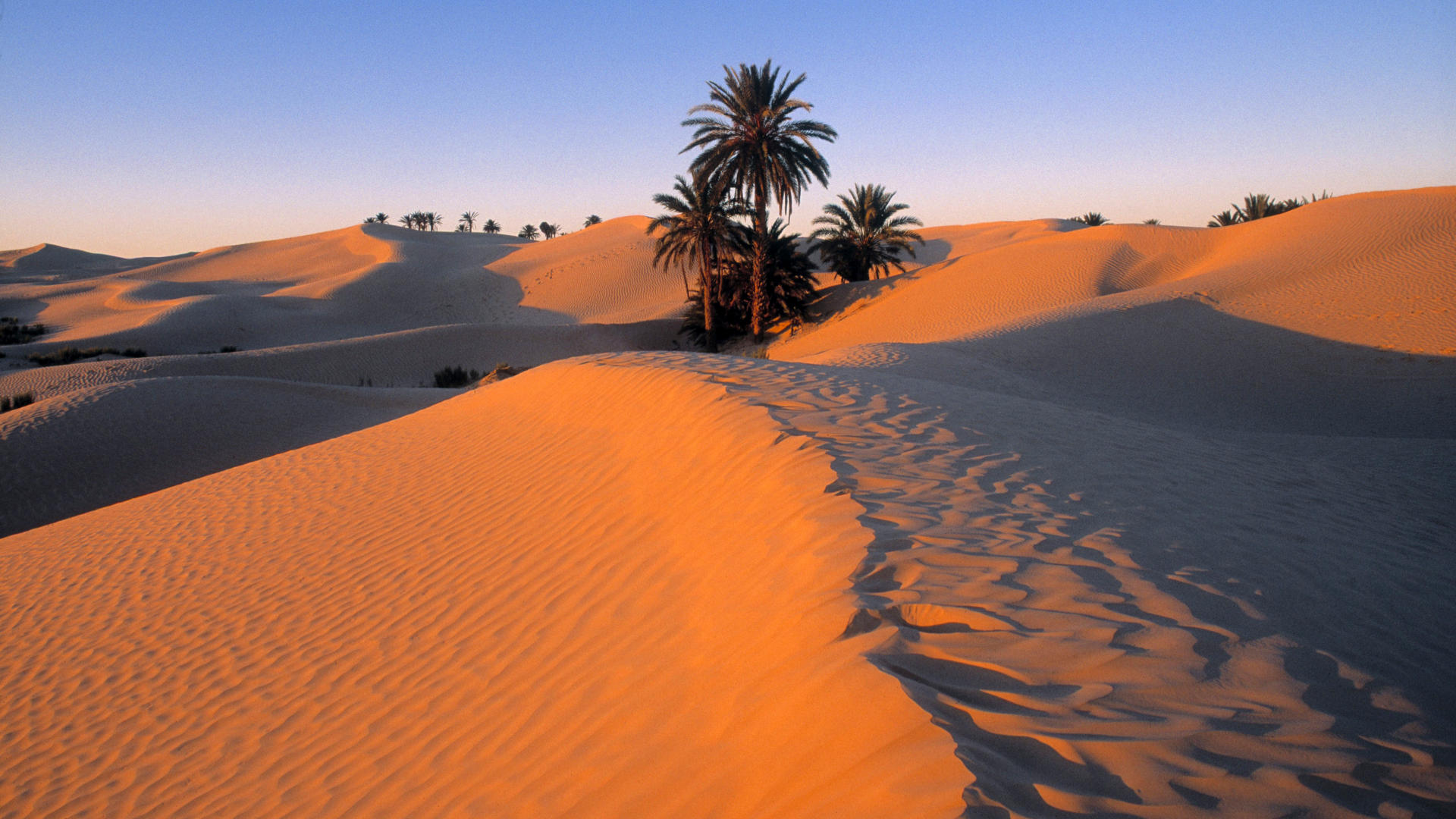 Пустыня сахара Ливийская Намиб Калахари