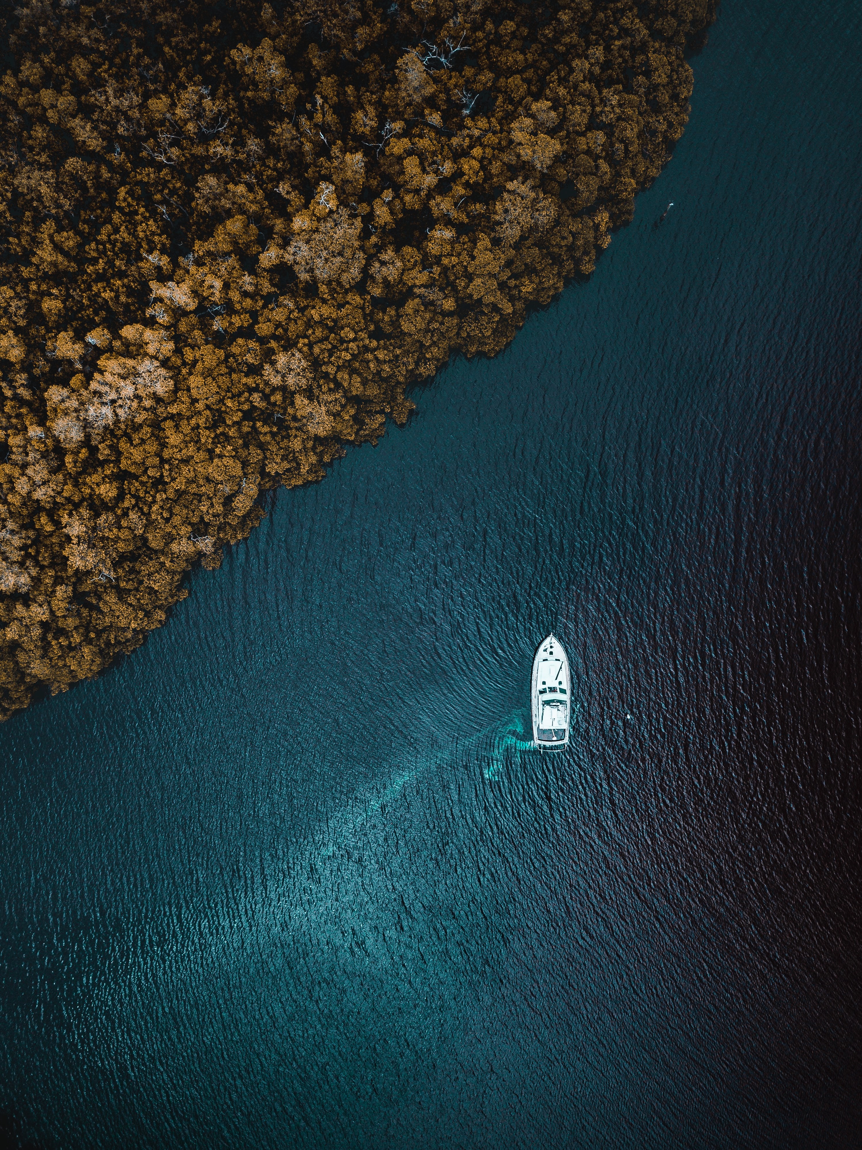 Download mobile wallpaper Nature, Bank, Shore, View From Above, Sea, Yacht, Trees for free.