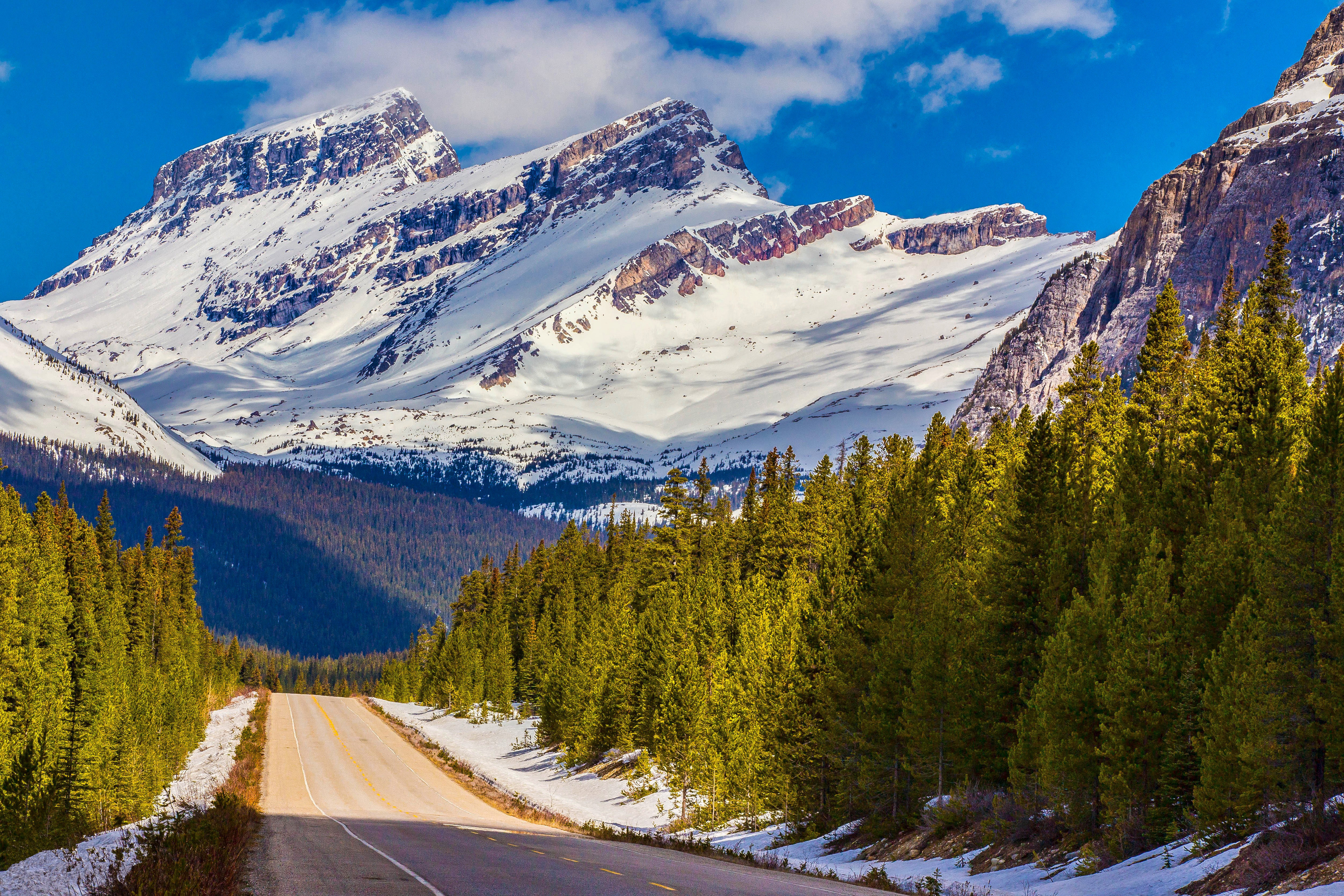 alberta, snow, canada, road, nature, mountains, dahl, distance, albert, banff national park