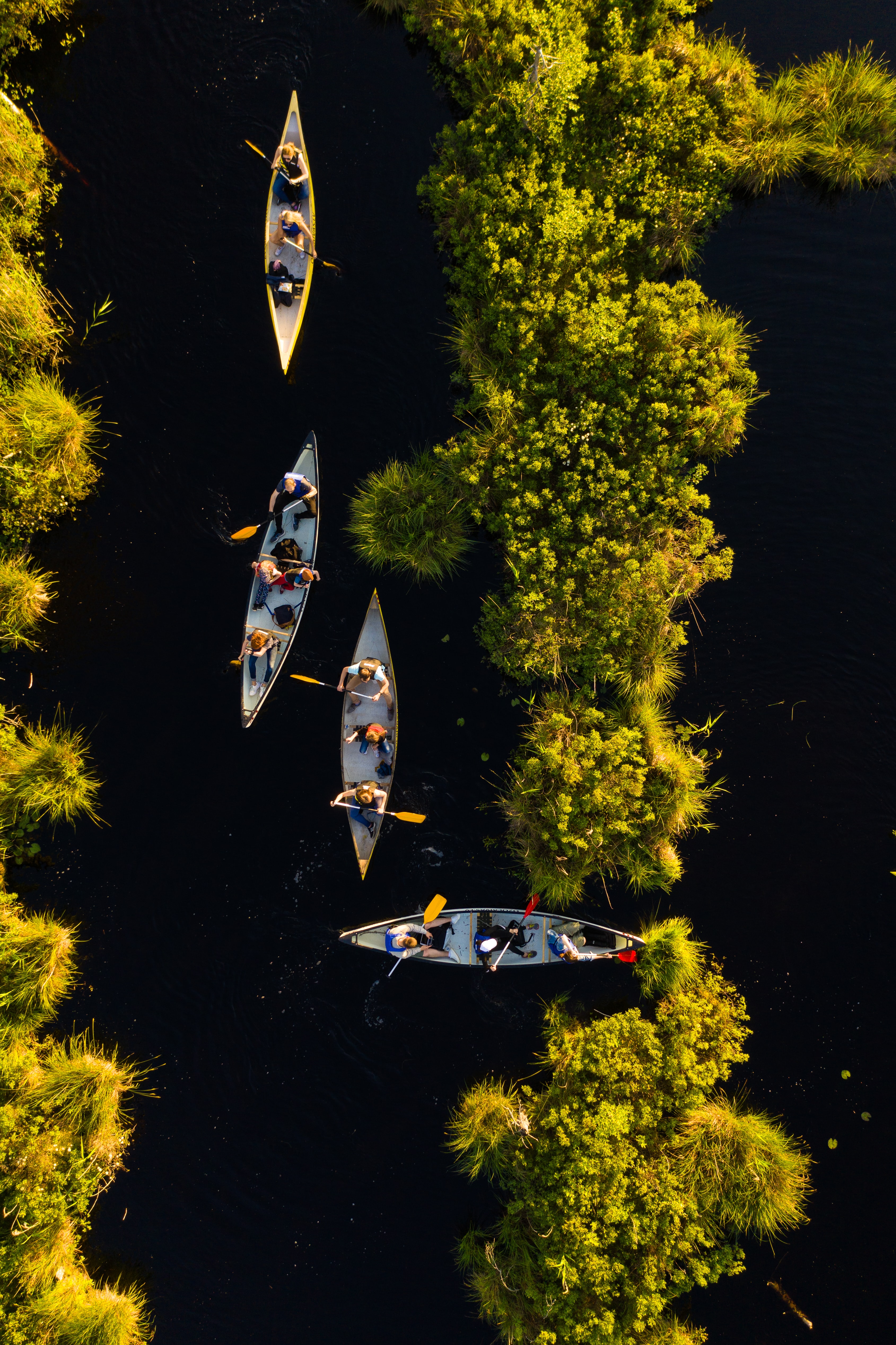 boats, sports, rivers, view from above, kayaks