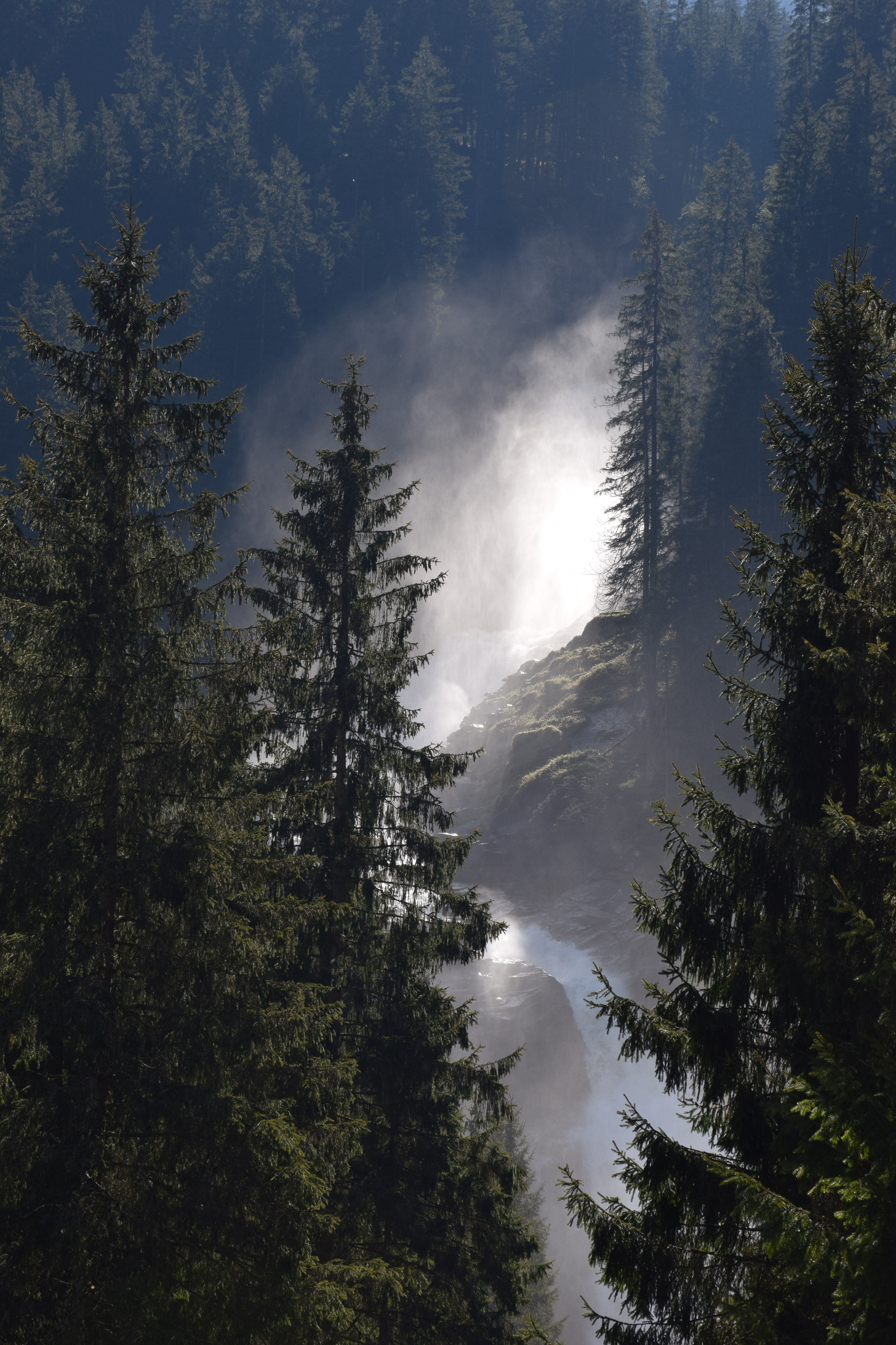Скачать картинку Туман, Деревья, Ель, Лес, Река, Природа в телефон бесплатно.