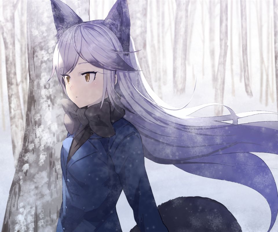 Silver Fox Kemono friends. Белая лиса (Kemono friends).