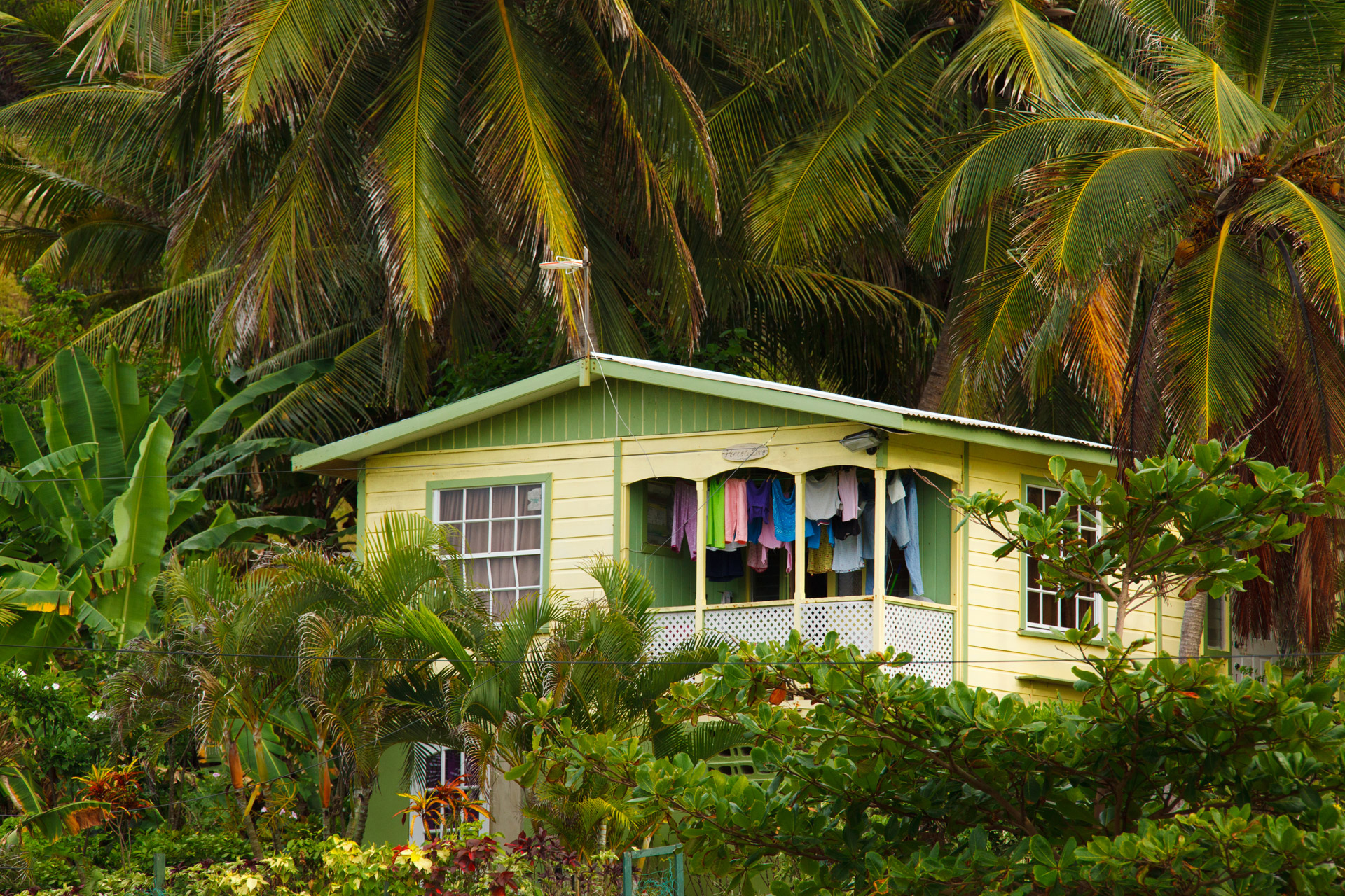 Включи tropical. Вилла в тропических джунглях Коста-Рики — HQROOM. Вилла Гавайи Мауи. Бунгало Робинзона. Коста Рика дом в тропиках.