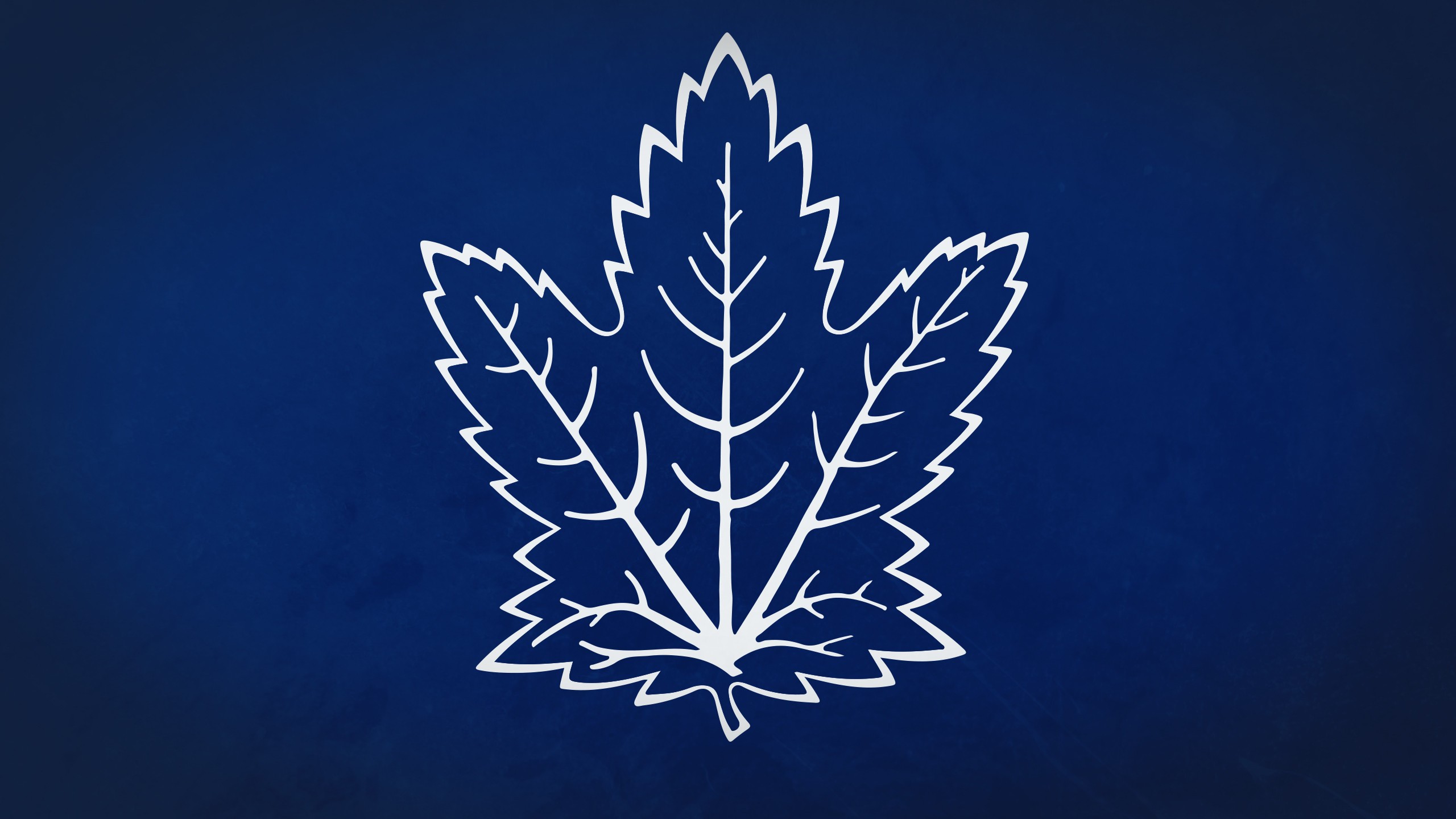 toronto maple leafs, sports, hockey