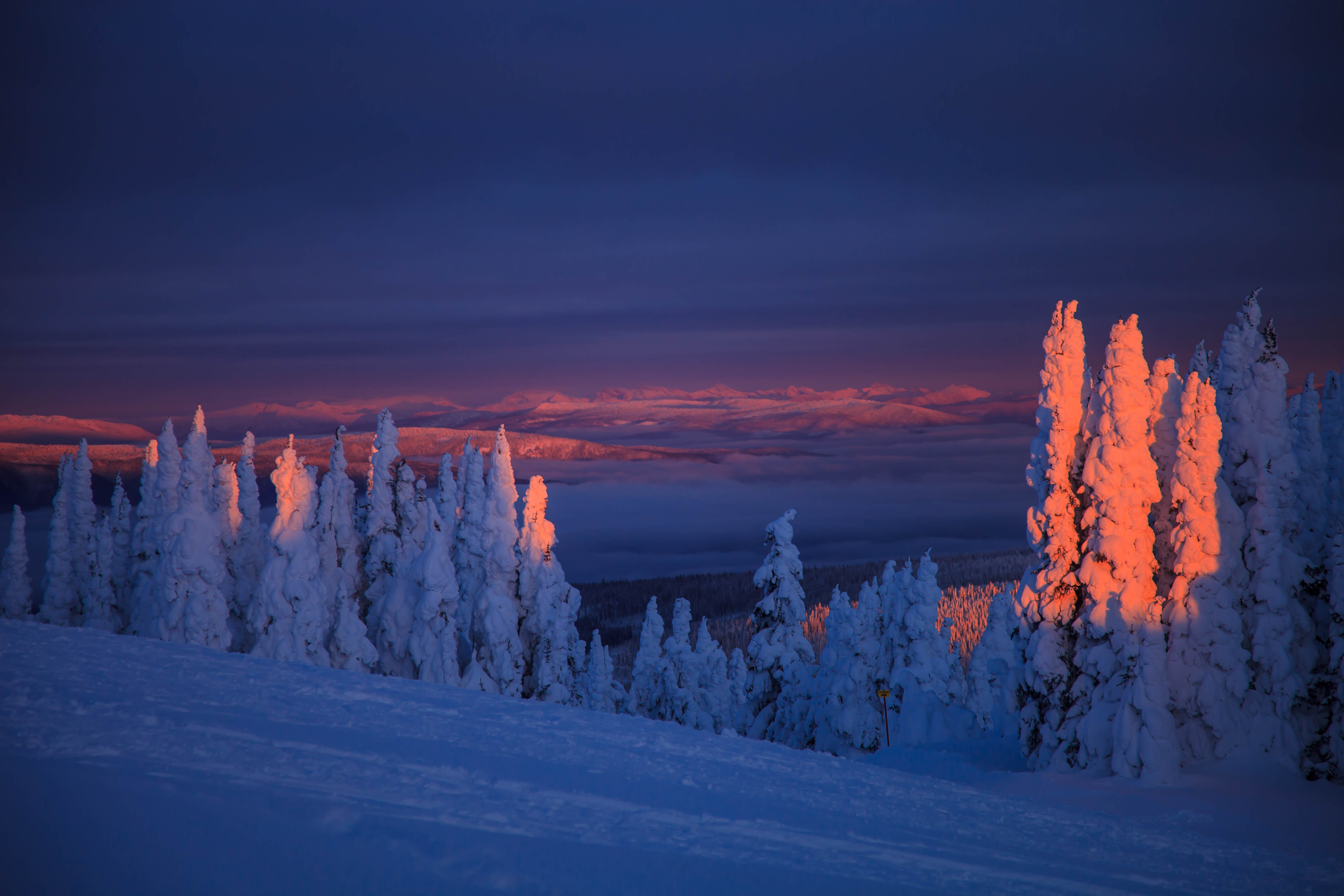 winter, snow, landscape, nature, trees, twilight, dusk, snow covered, snowbound HD wallpaper