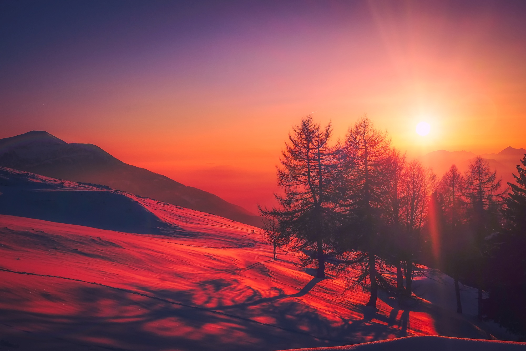 italy, winter, earth, sunrise, country, mountain, red, snow, tree