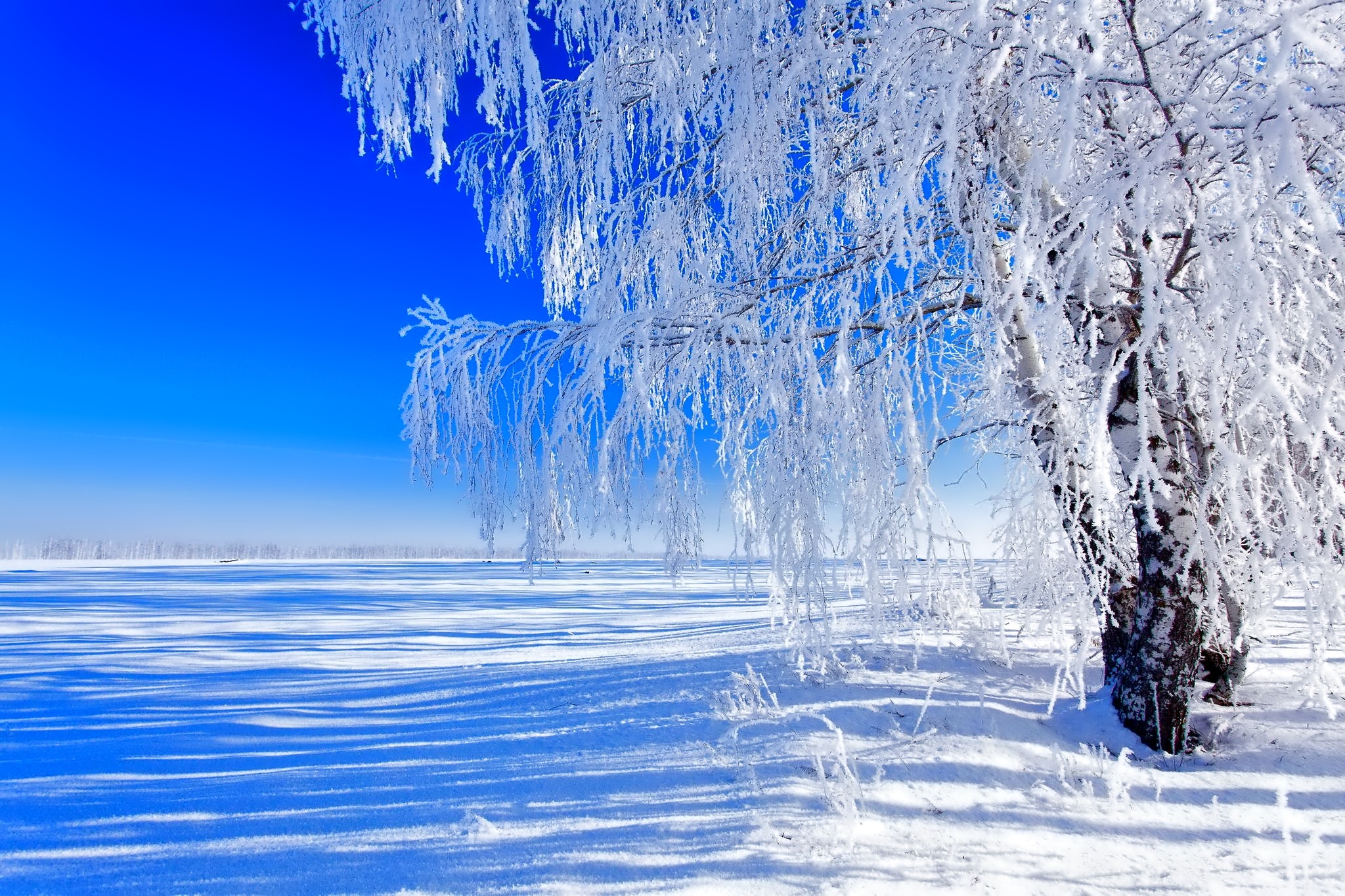 Зимнее снежное день. Зимний пейзаж. Зимняя природа. Красивая зима. Зимние картинки на рабочий стол.