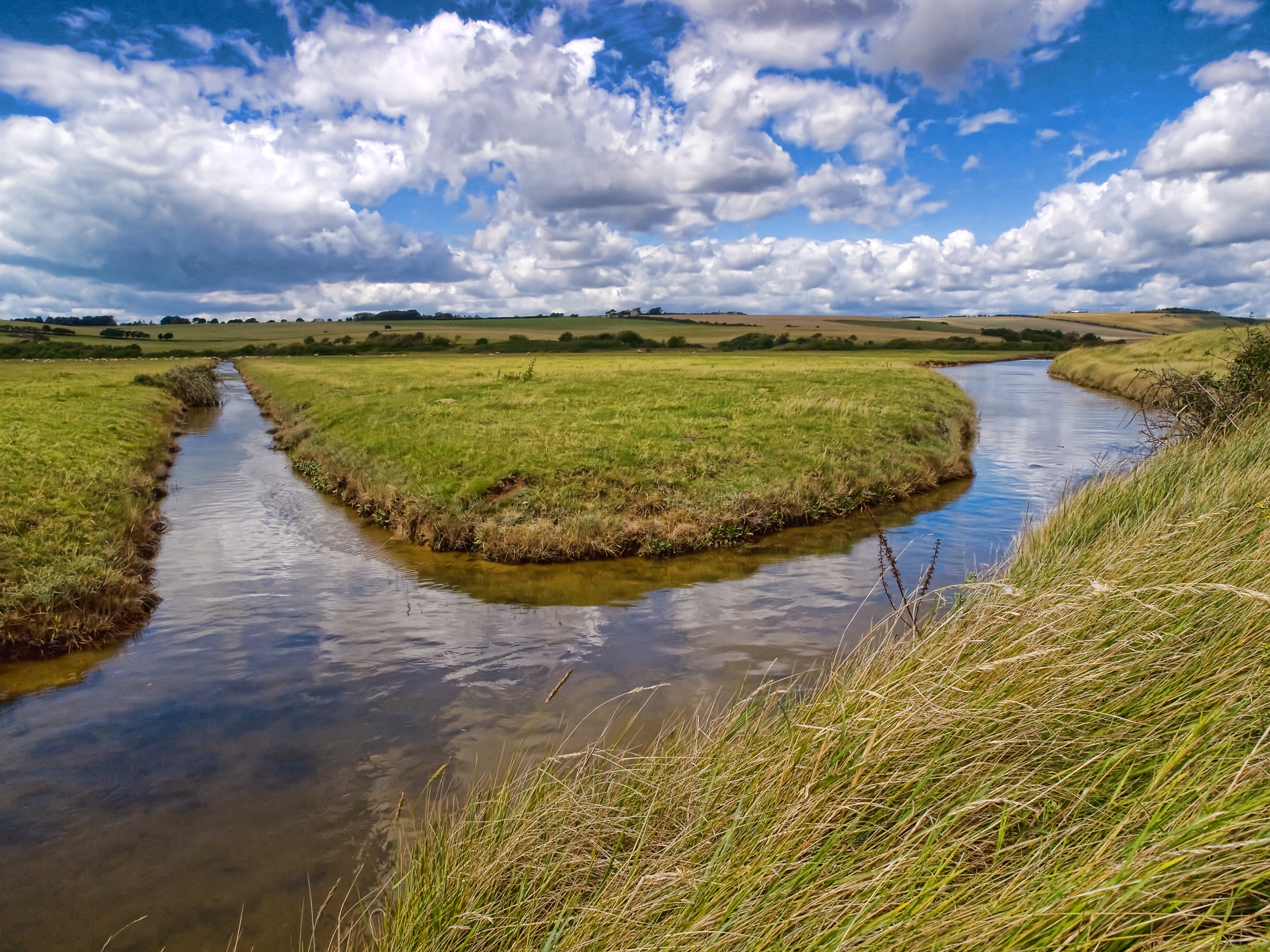 nature, rivers, grass, field, sunny, channel