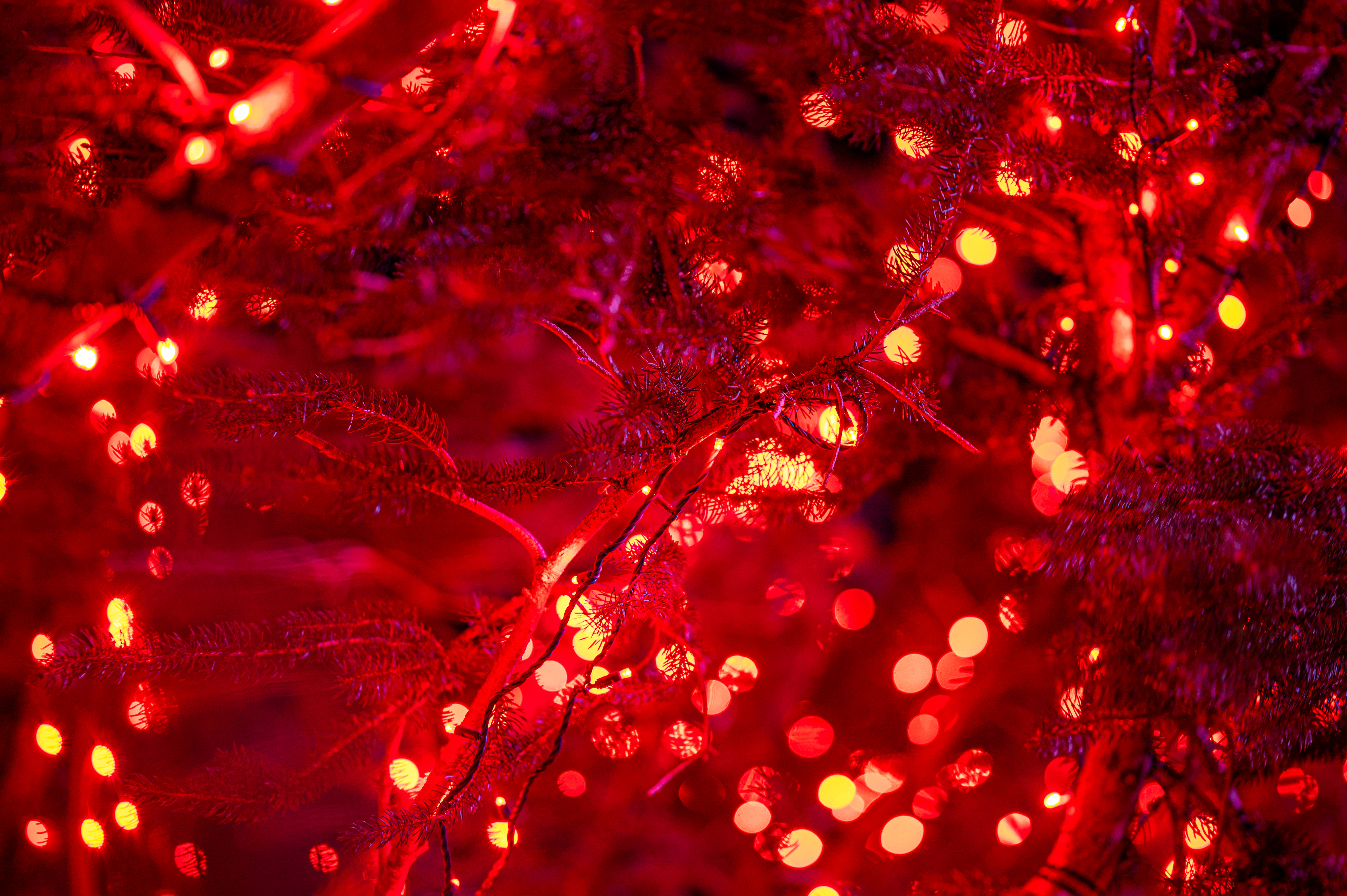 122795 Hintergrundbild herunterladen feiertage, neujahr, weihnachten, rot, die lichter, lichter, neues jahr, urlaub, glühen, glow, girlande, garland - Bildschirmschoner und Bilder kostenlos