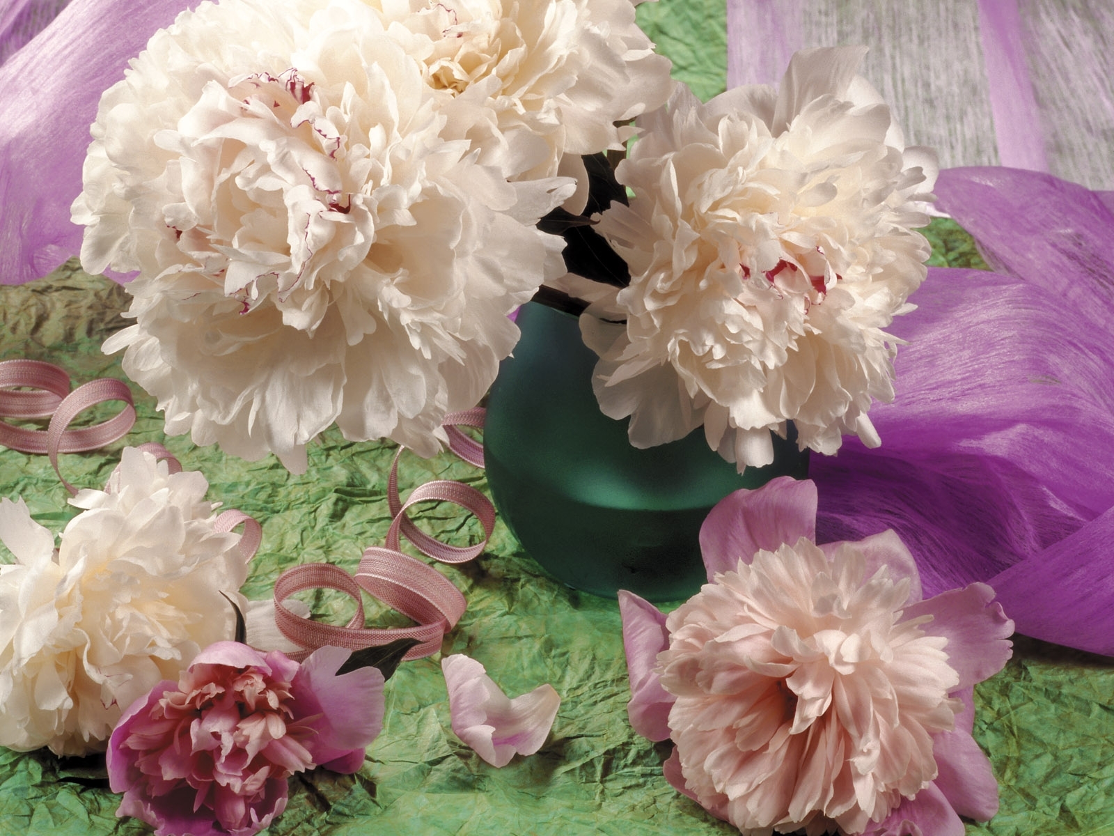 Free download wallpaper Plants, Flowers, Chrysanthemum on your PC desktop