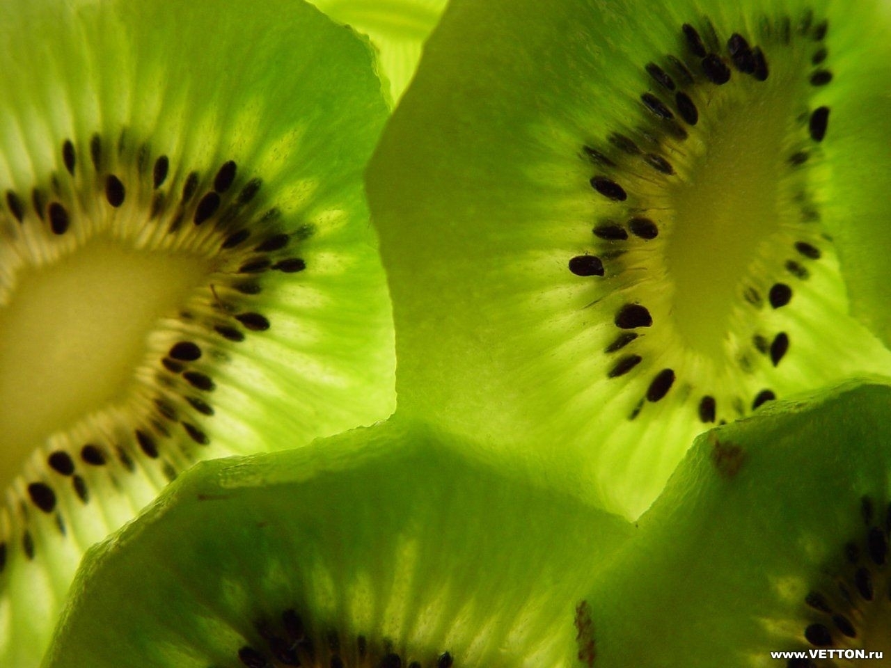 Handy-Wallpaper Obst, Lebensmittel, Kiwi, Hintergrund kostenlos herunterladen.