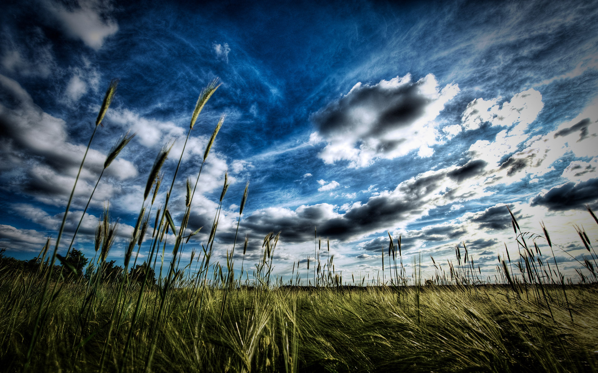 landscape, fields, clouds, blue