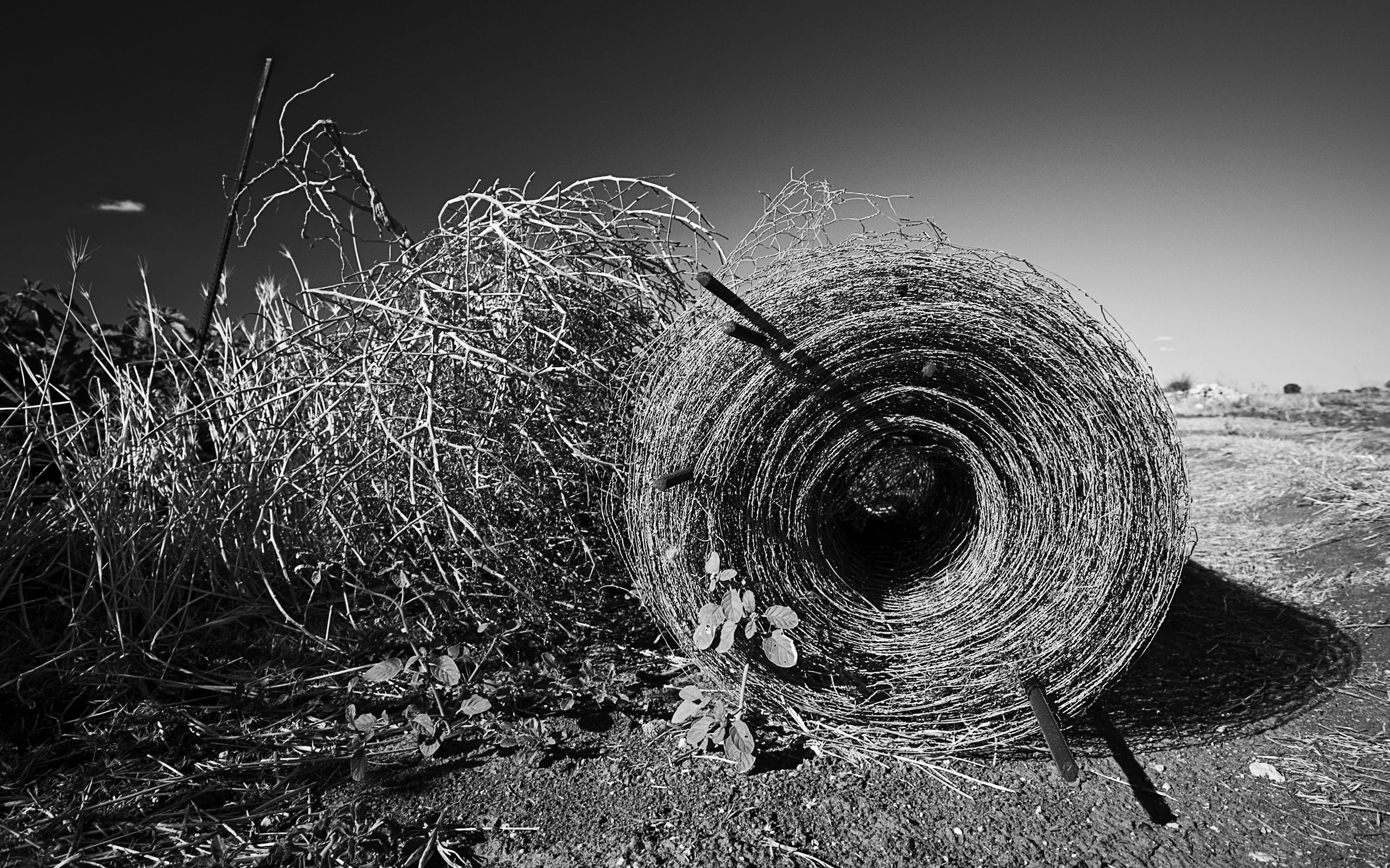 black and white, nature, hay, bale