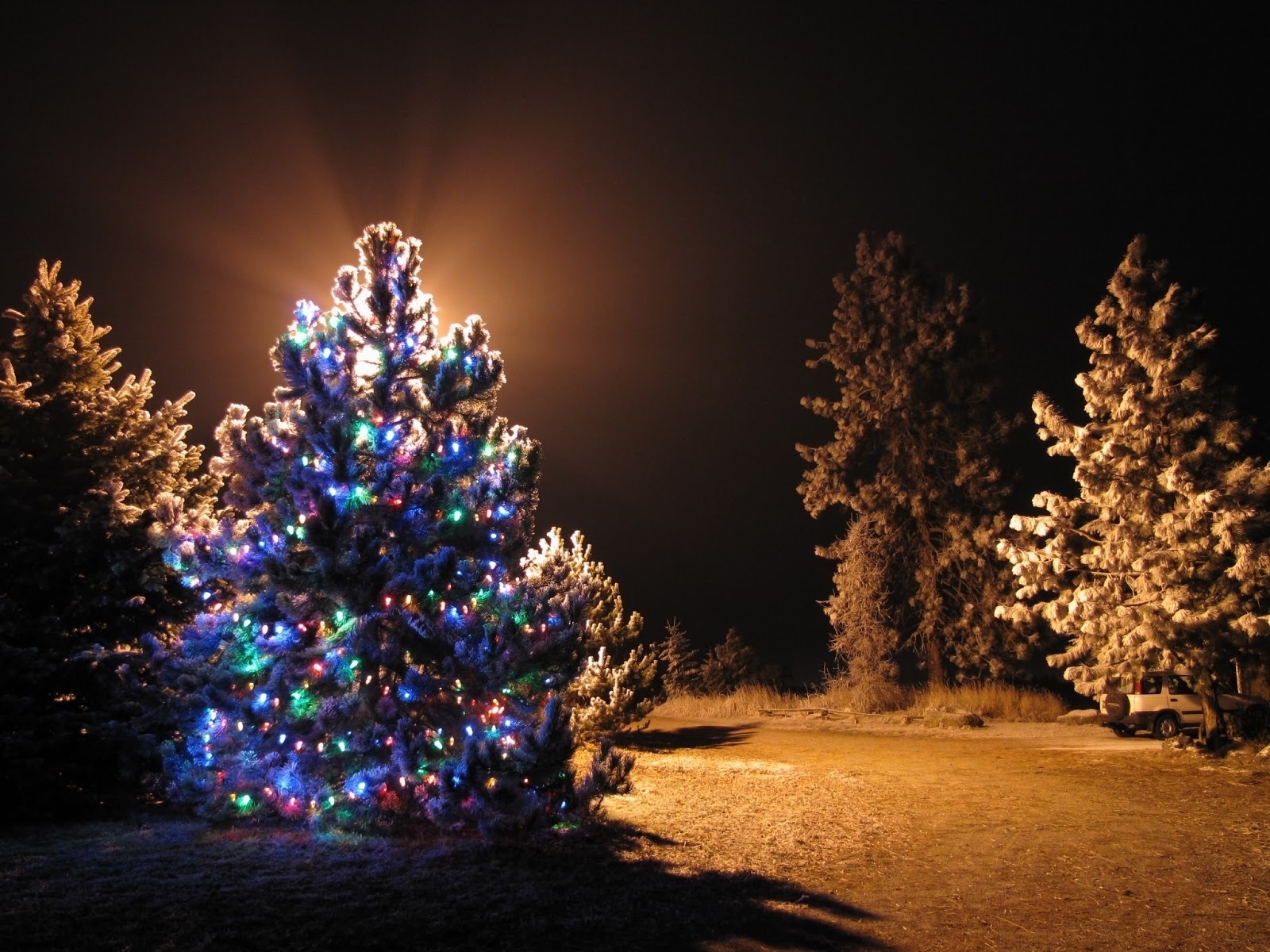 1504985画像をダウンロードホリデー, クリスマス, クリスマスツリー, ライト, 雪, 冬-壁紙とスクリーンセーバーを無料で