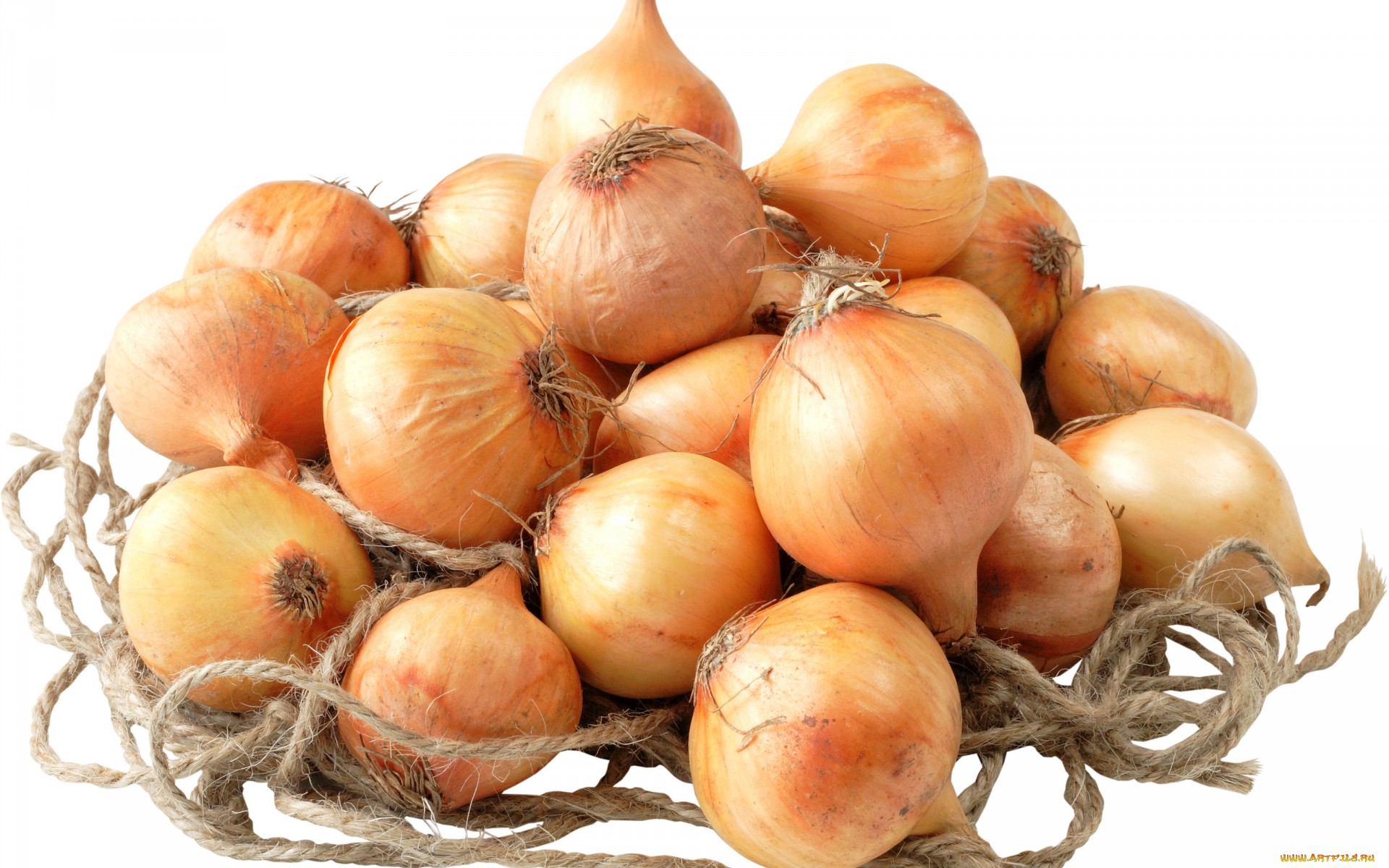 1920 x 1080 picture food, onion