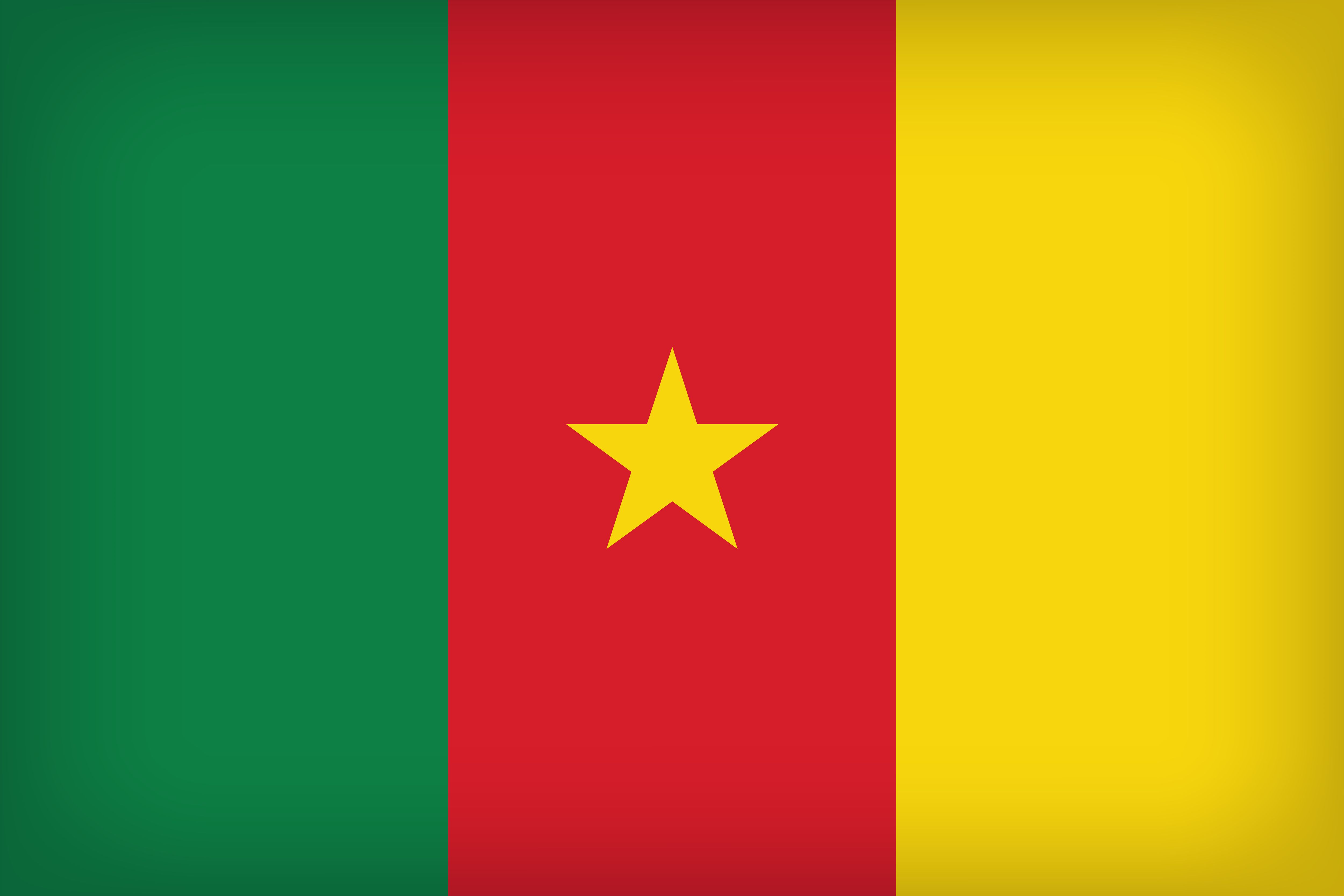 Скачать обои Флаг Камеруна на телефон бесплатно