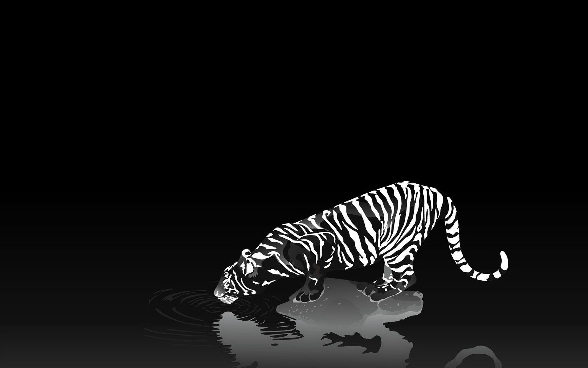 Черные фоны с тиграми