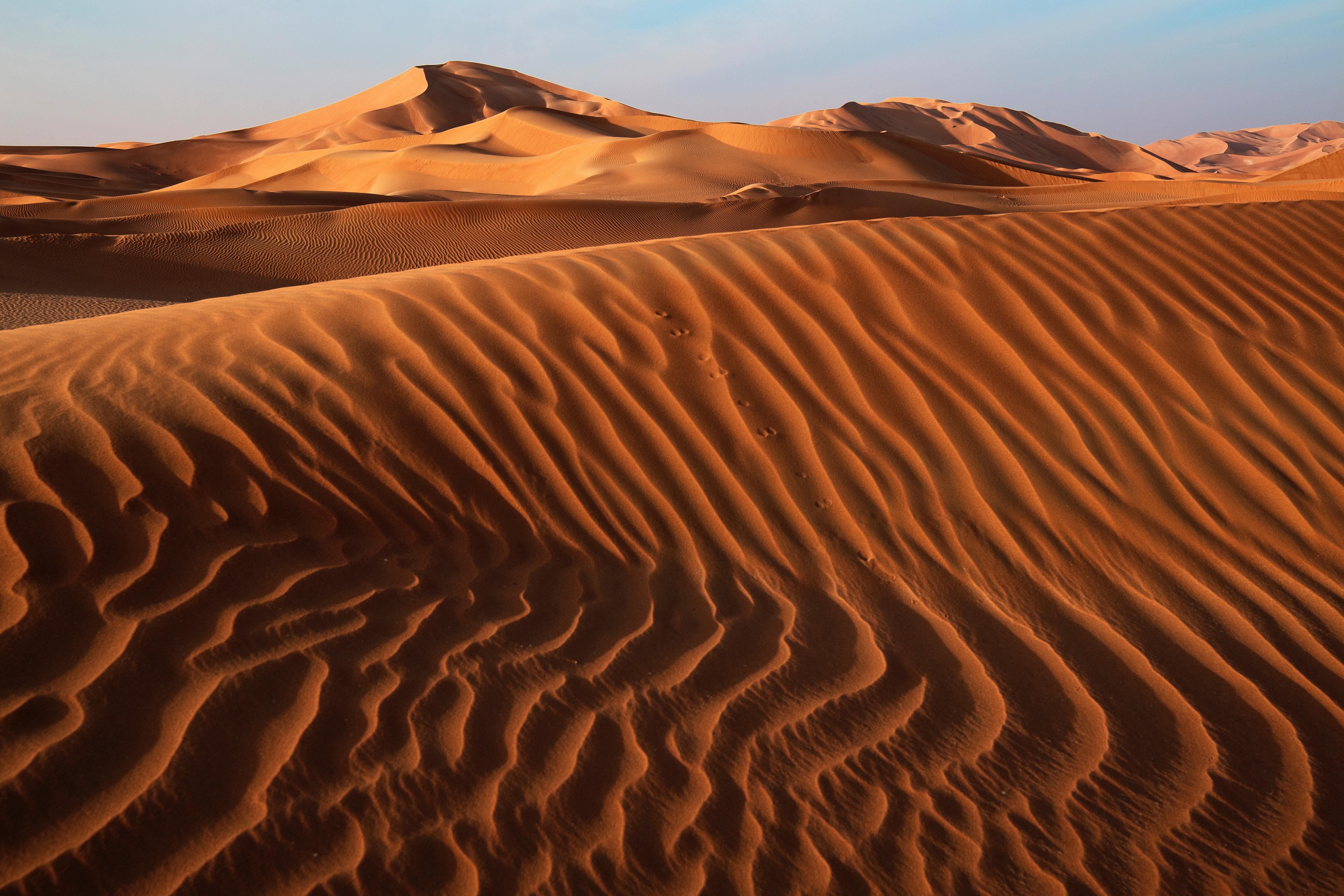 nature, sky, sand, desert, relief, dunes, links Smartphone Background