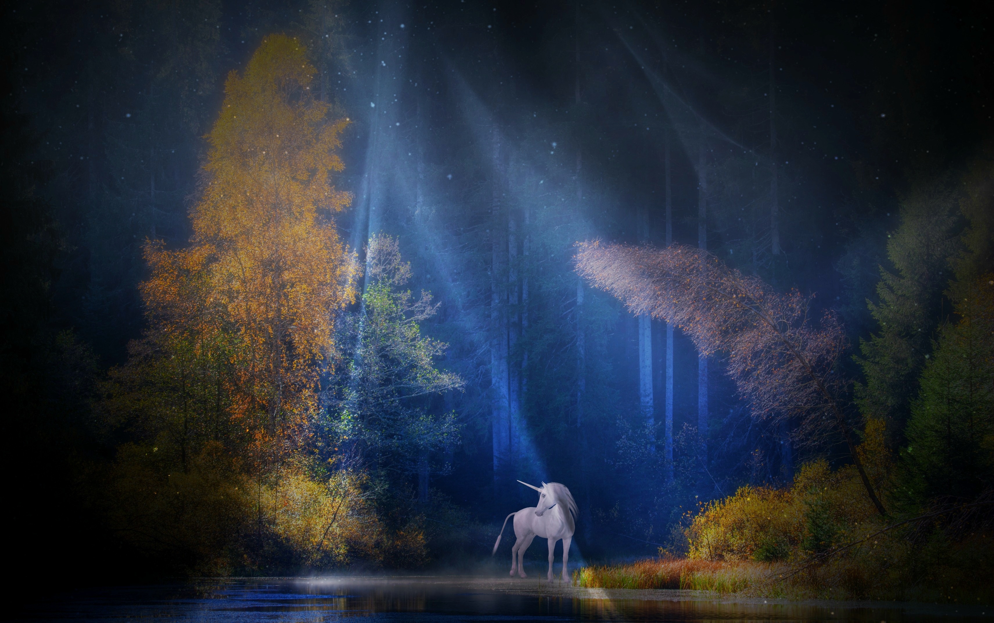 fantasy, unicorn, forest, mystical, sunbeam, tree, fantasy animals 4K for PC