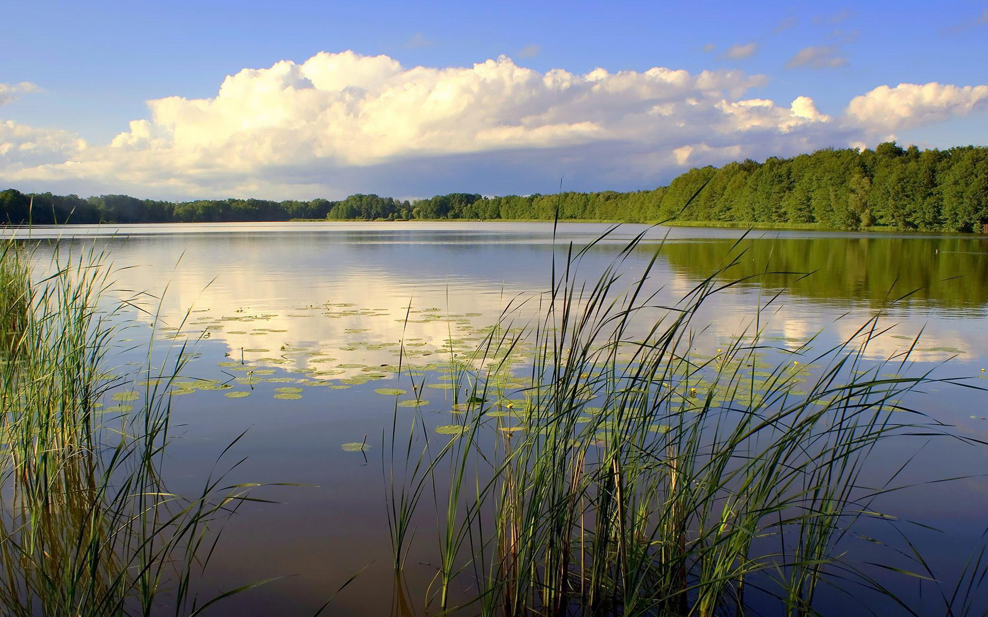 Природа плавней. Озеро Кюльхири Вурнарский район. Озеро зеркальное Назаровский район. Камыш-Самарские озёра. Алабуга озеро.
