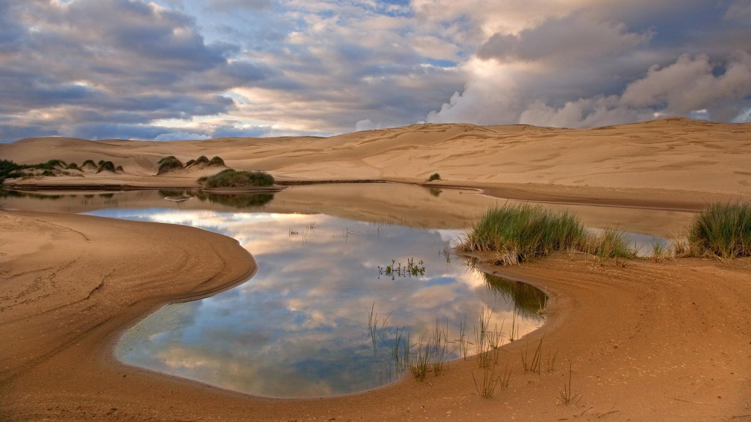 Desert water. Пустыня Каракум Оазис. Реки полупустыни и пустыни в России. Оазис в пустыне Узбекистана. Оазис в пустыне озеро.