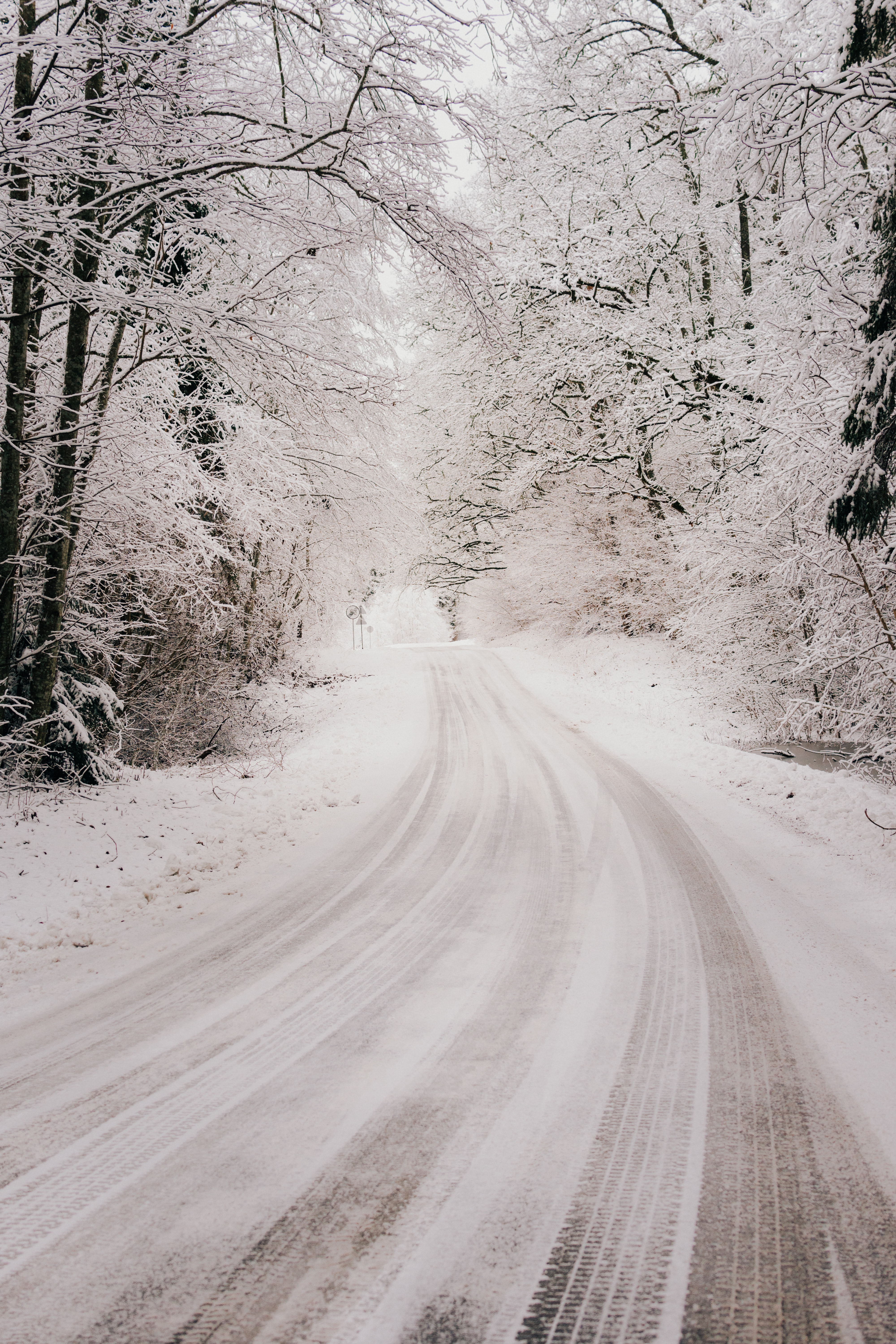 Download mobile wallpaper Nature, Forest, Trees, Bush, Road, Snow, Winter for free.