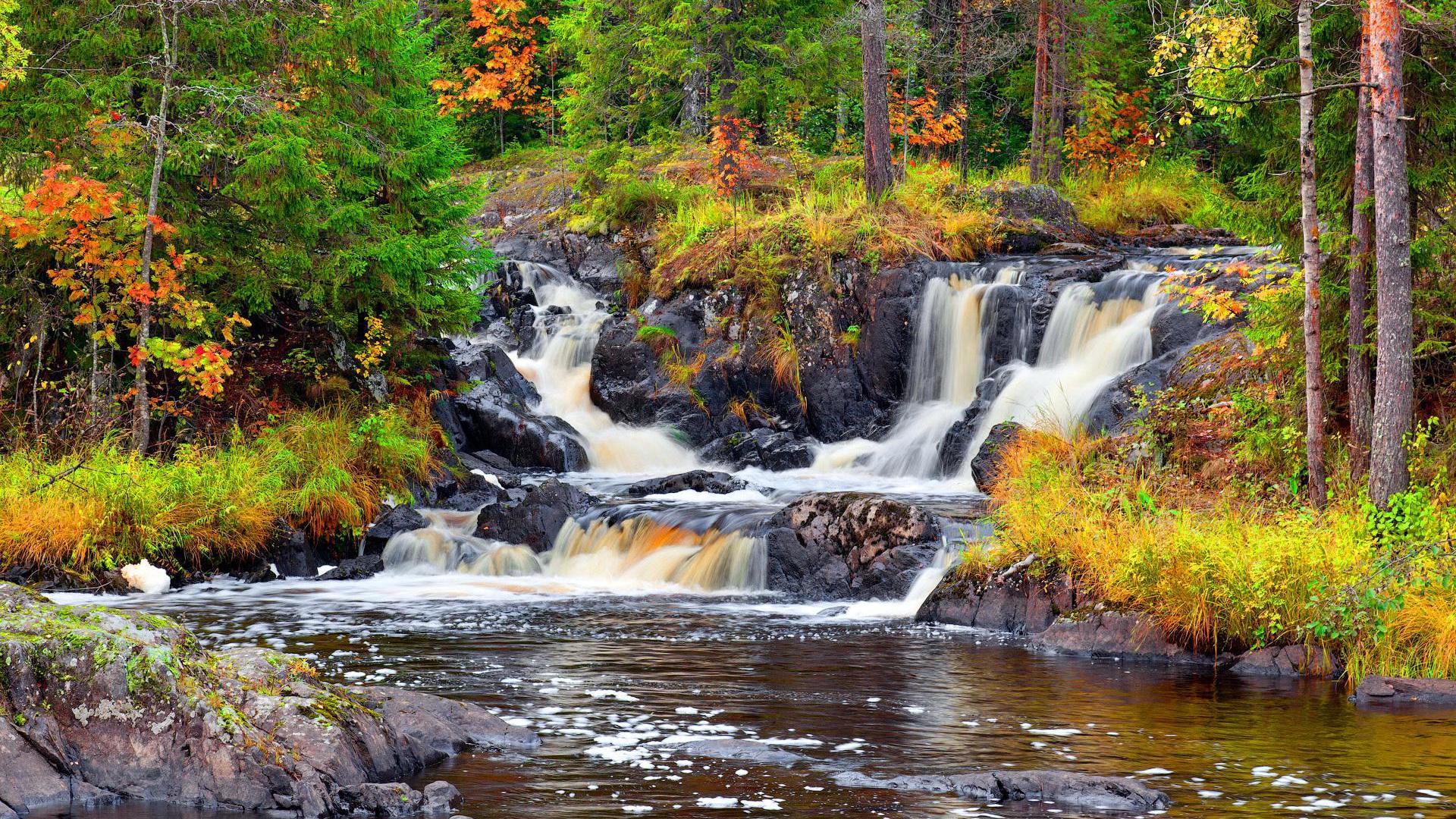 Водопад лесной фото