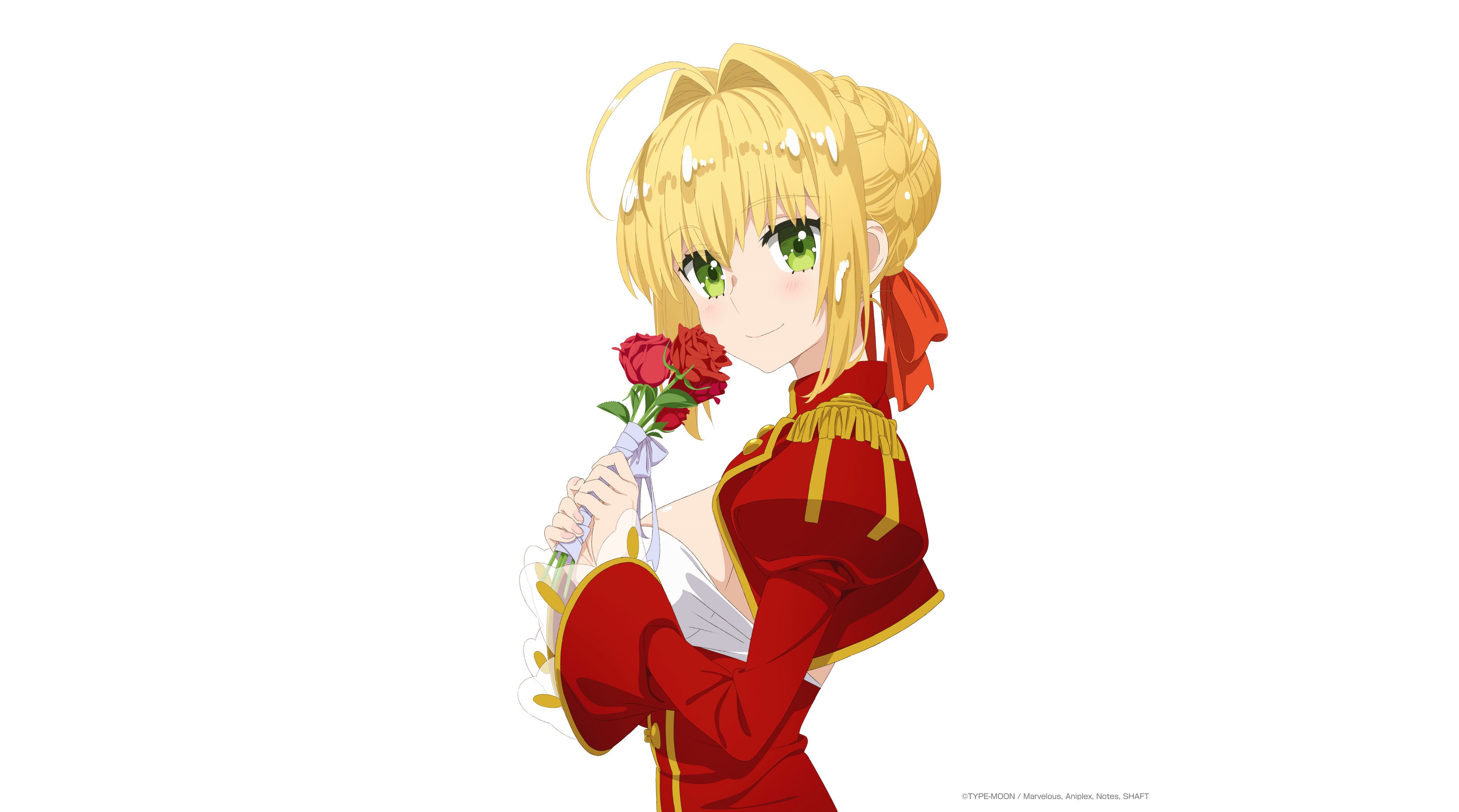 Panoramic Wallpapers Fate/extra 