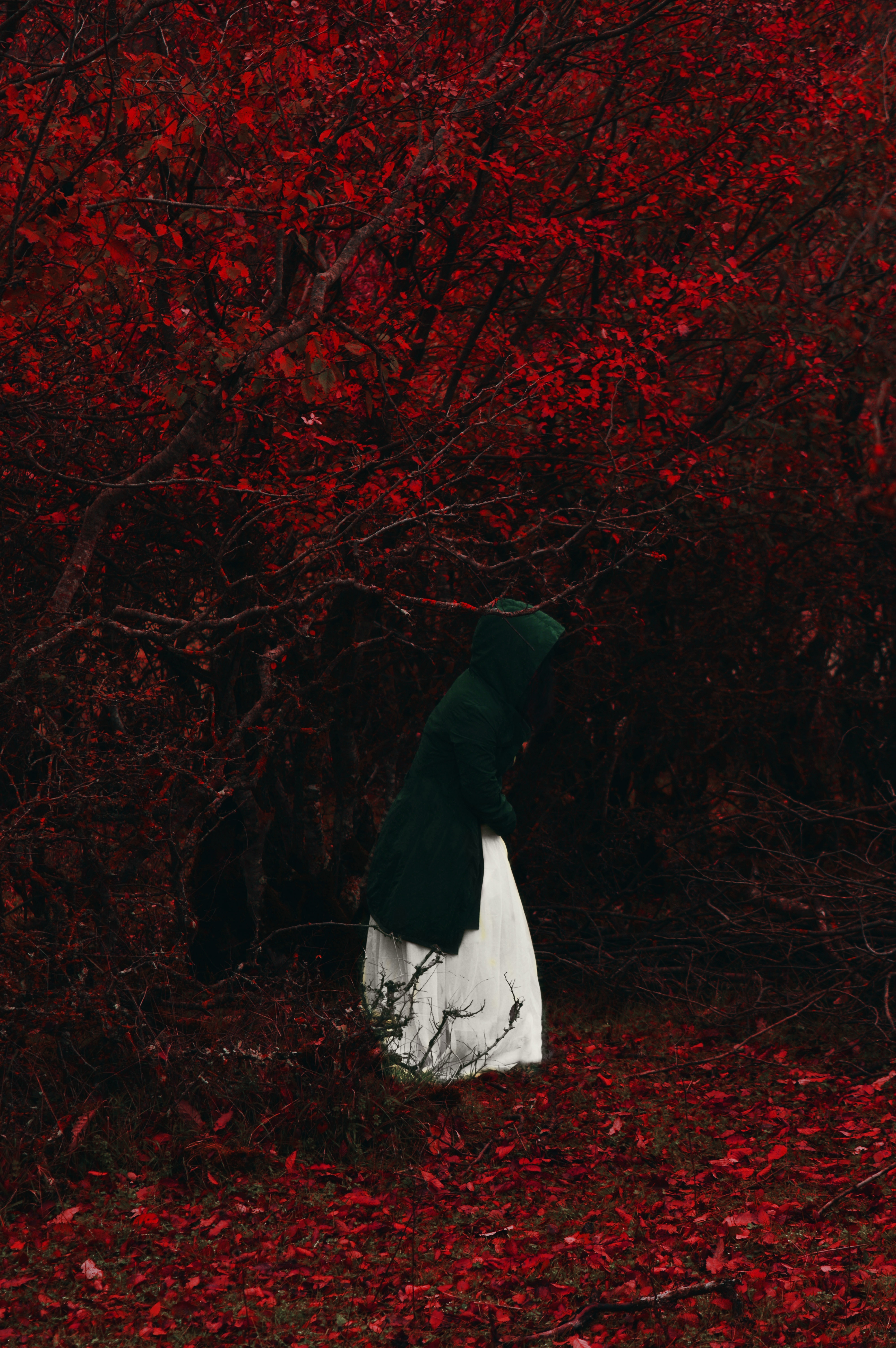 alone, foliage, autumn, hood, nature, red, forest, human, person, loneliness, lonely cellphone