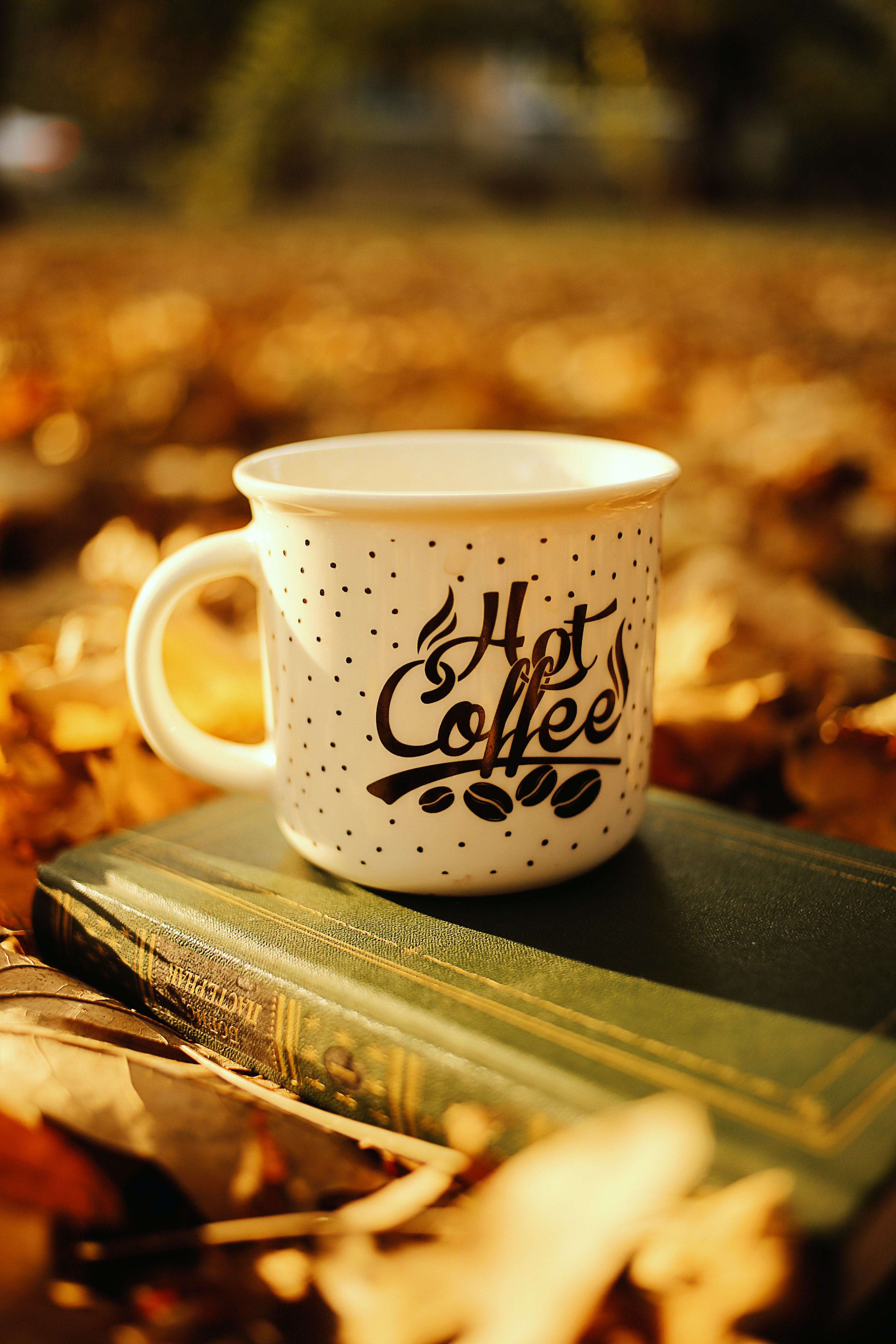 mug, book, coffee, words, cup, inscription cell phone wallpapers