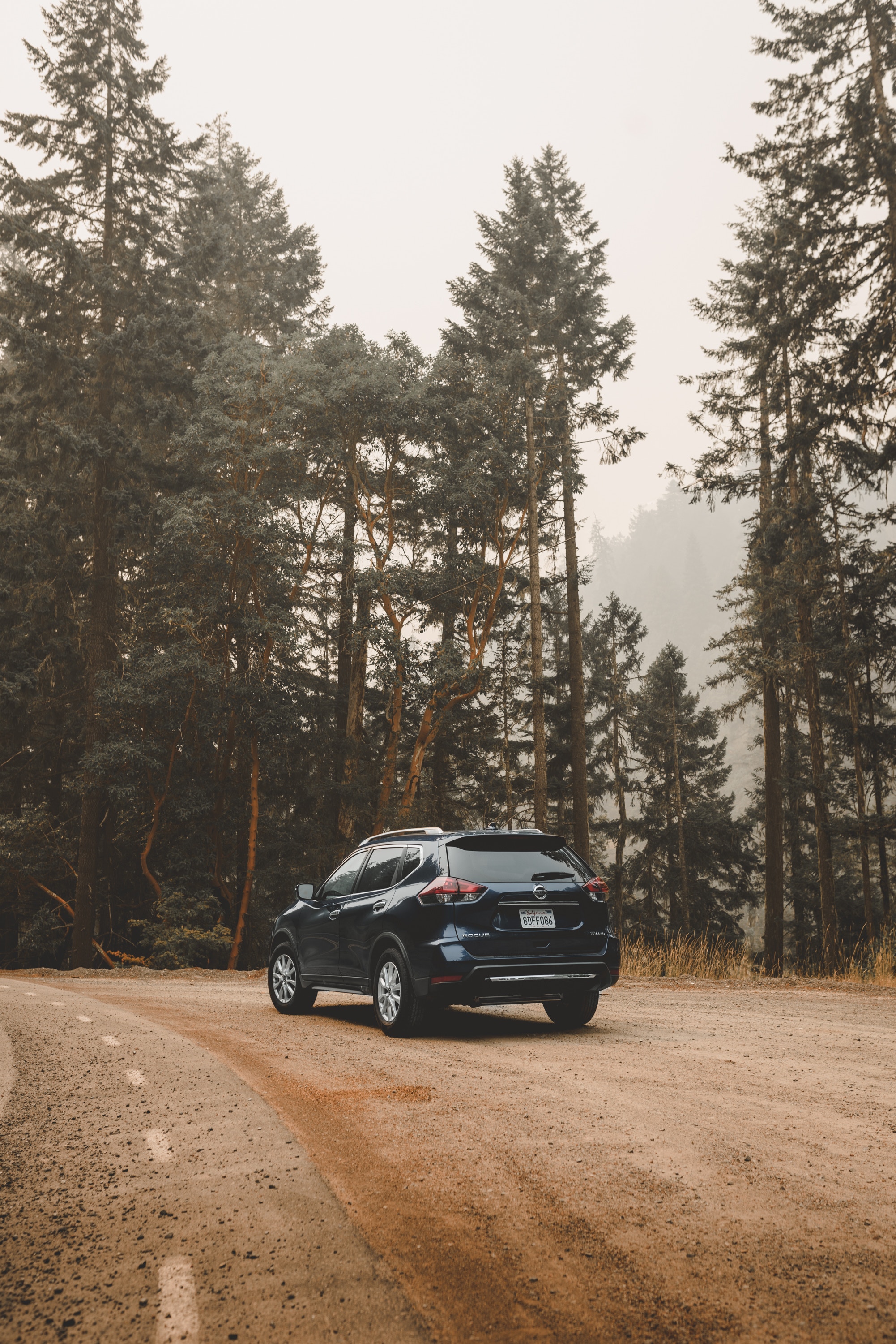 nissan rogue, trees, nissan, cars, crossover, trip