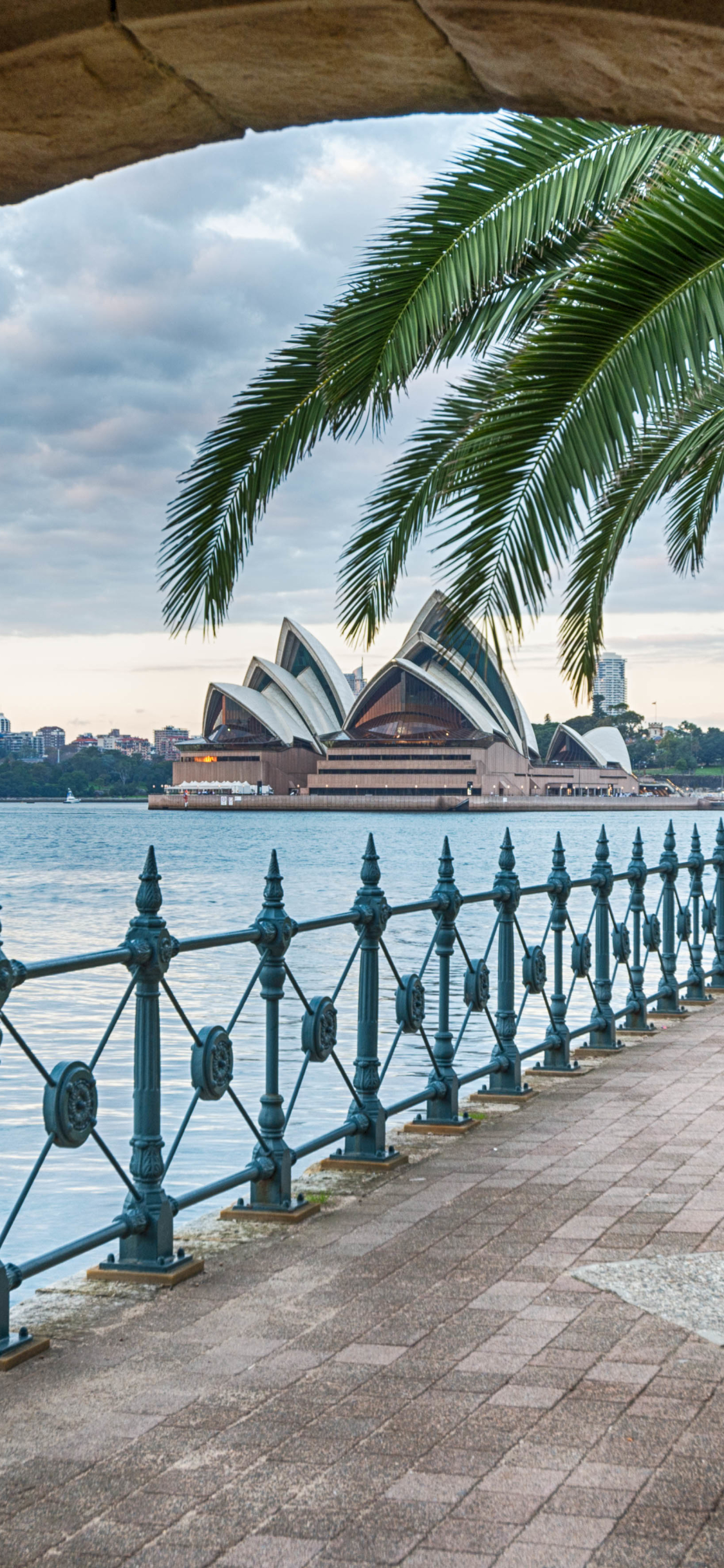 1361795 免費下載壁紙 人造, 悉尼歌剧院, 棕榈, 棕榈树, 澳大利亚, 拱, 石拱门, 悉尼 屏保和圖片