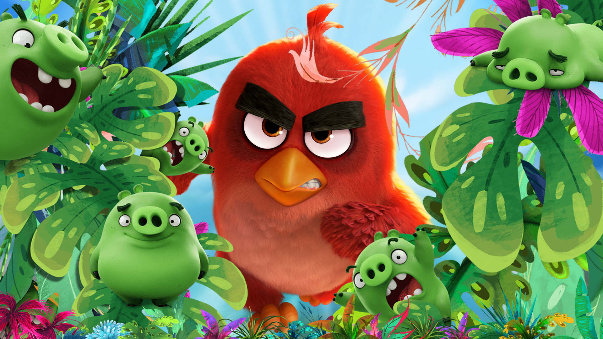 Картинки на angry birds