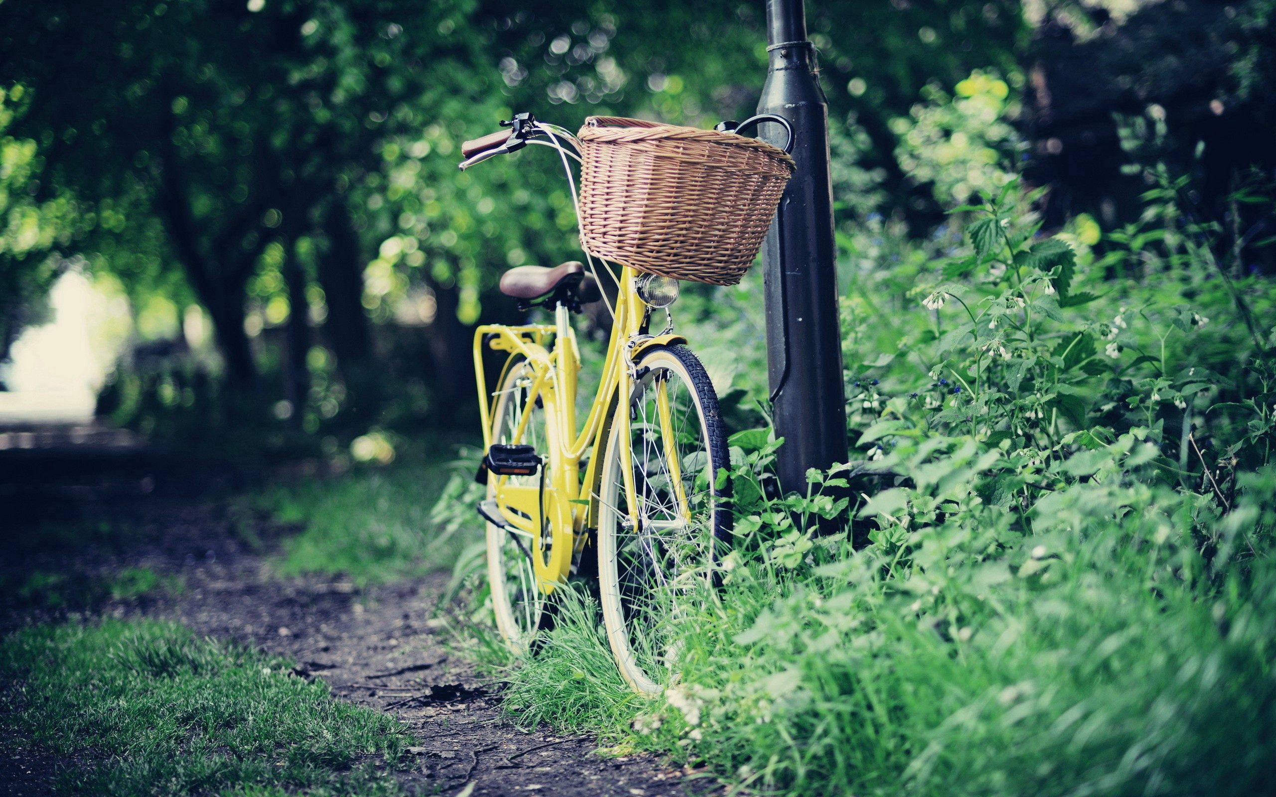Download mobile wallpaper Miscellaneous, Stroll, Basket, Nature, Miscellanea, Bicycle for free.