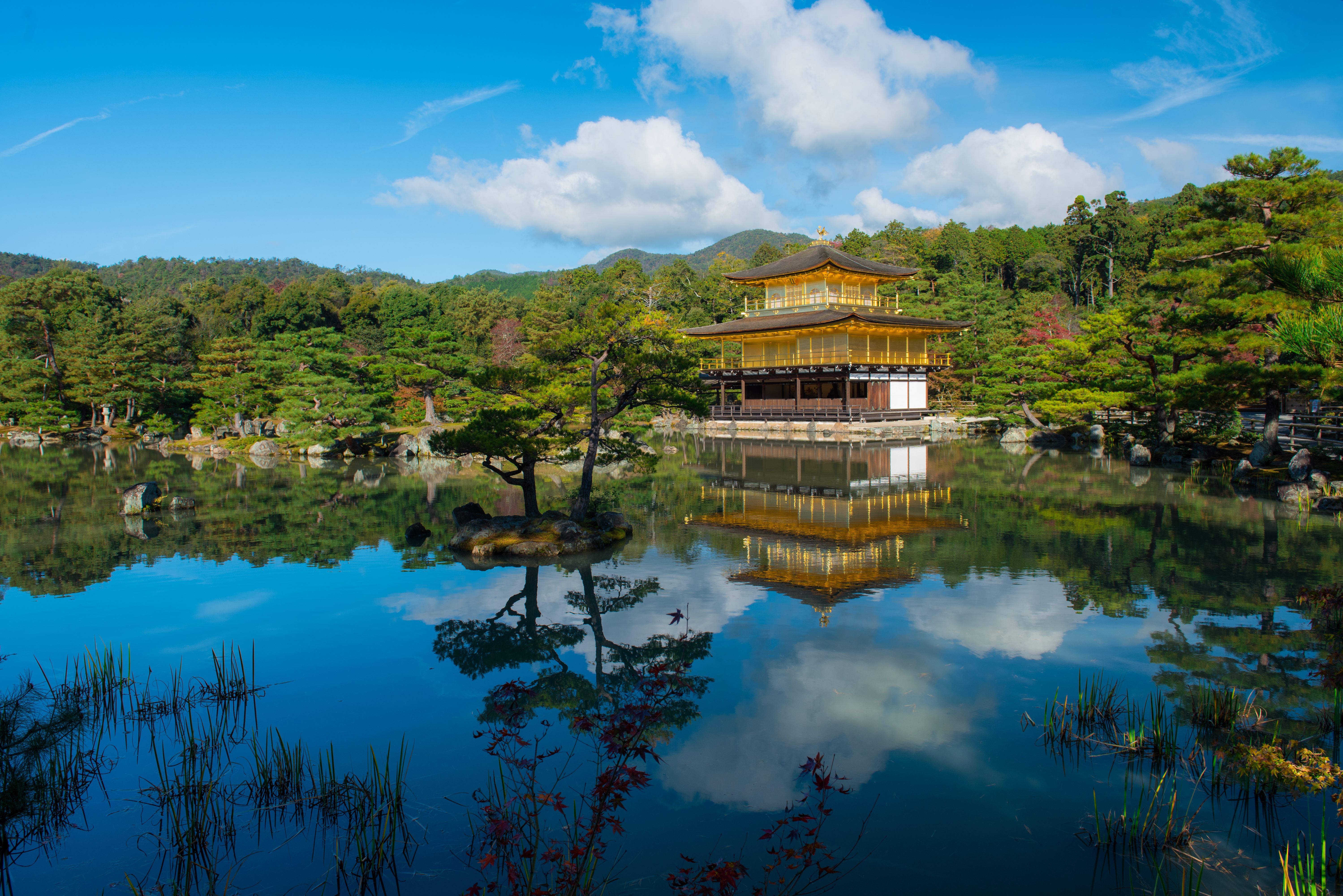 japan, religious, kinkaku ji, buddhist temple, golden temple, kyoto, reflection, the temple of the golden pavilion, temples 1080p