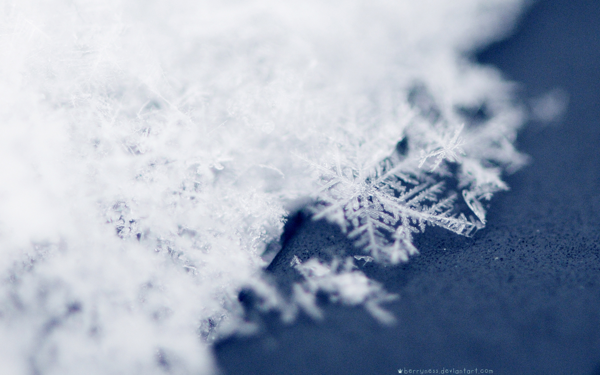 Descarga gratuita de fondo de pantalla para móvil de Copo De Nieve, Tierra/naturaleza.