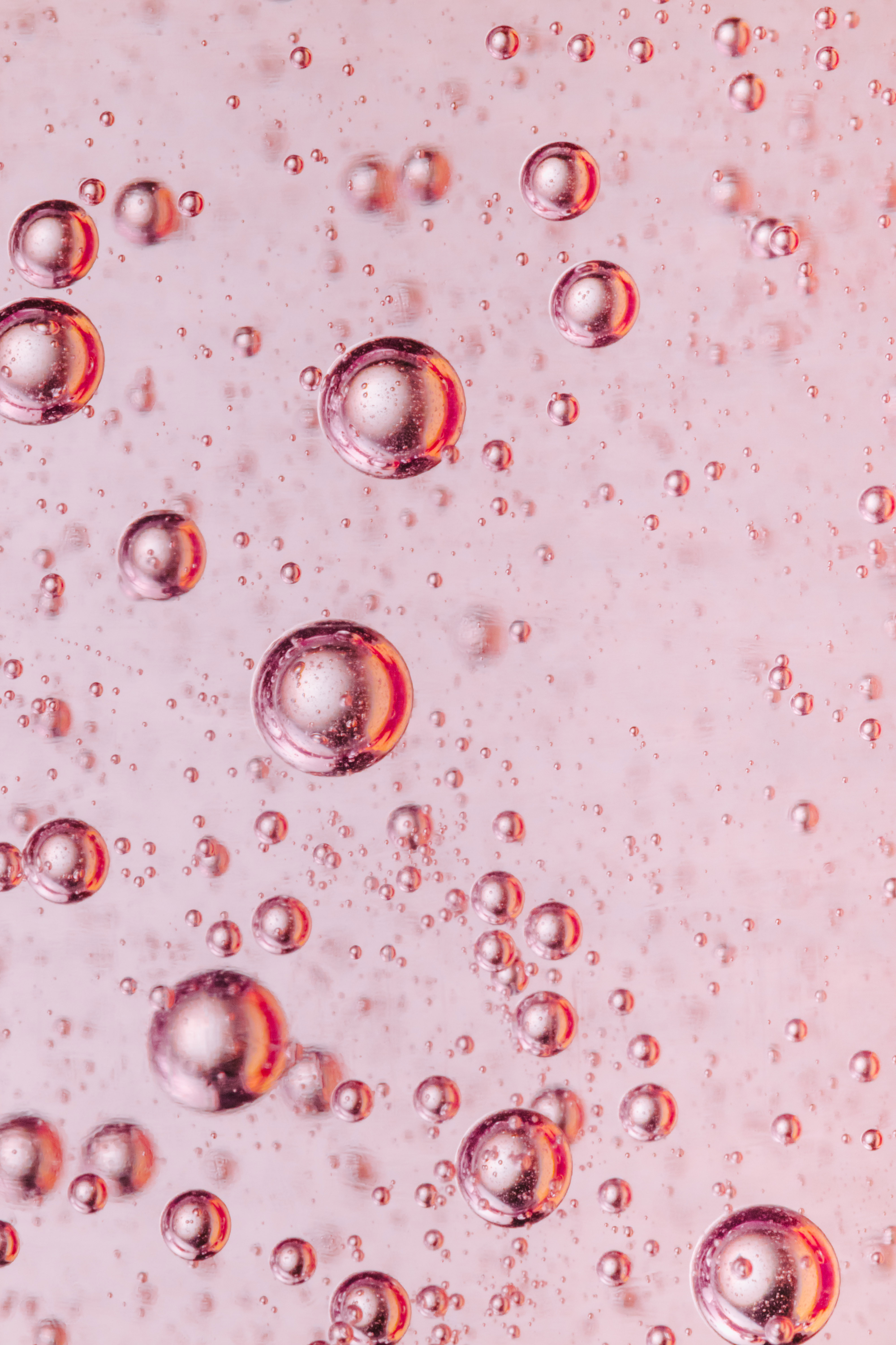 pink, bubbles, liquid, macro