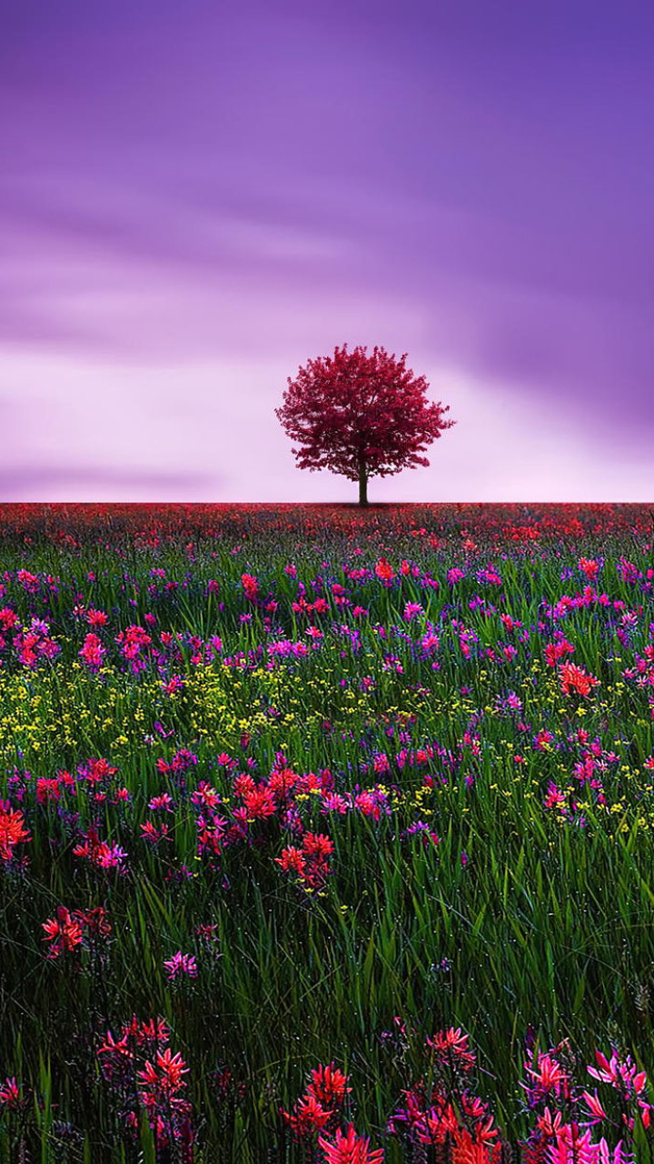 Wonderful Colour foto amazing