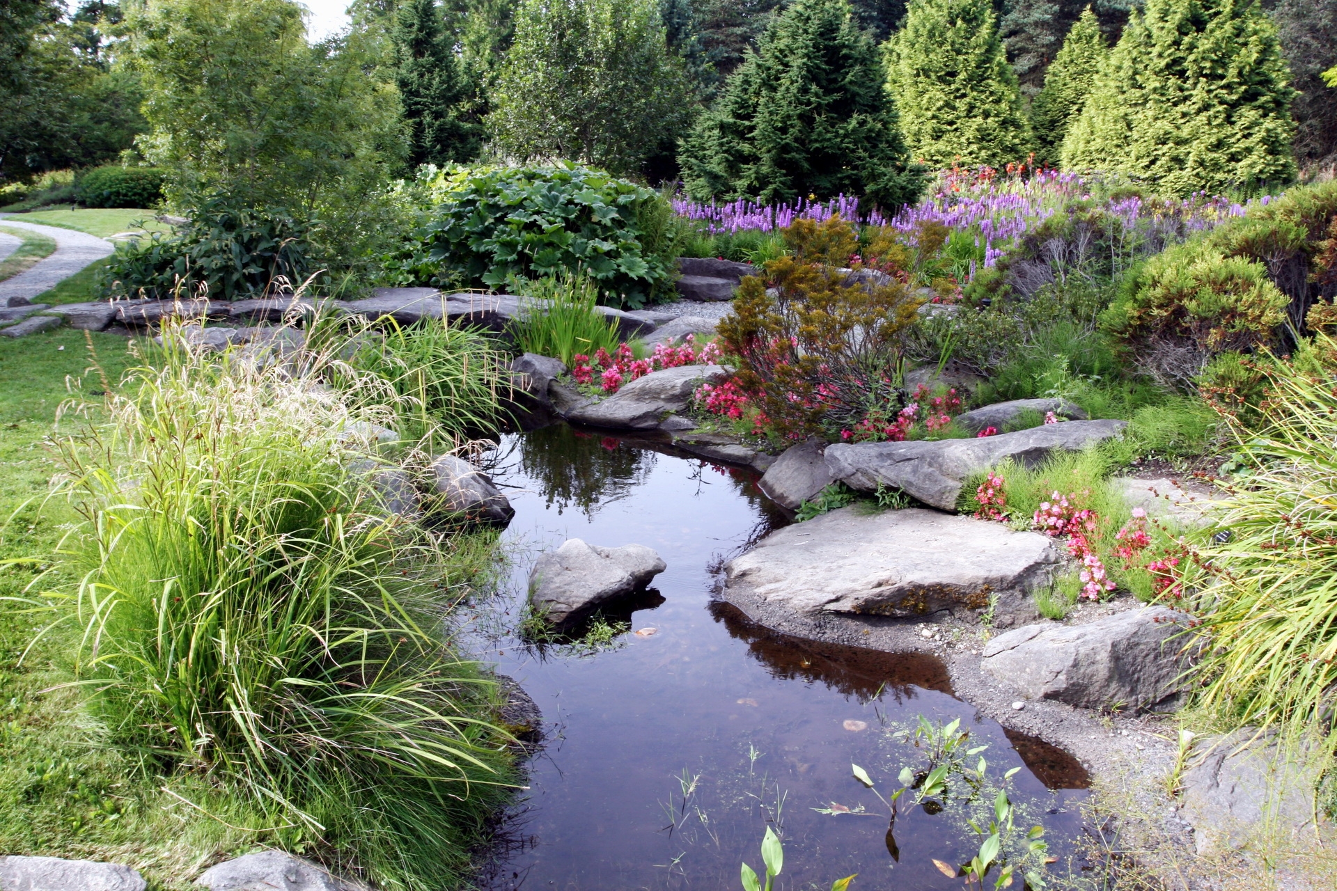 pond, garden, nature, stones, bush, vegetation, shadow cellphone